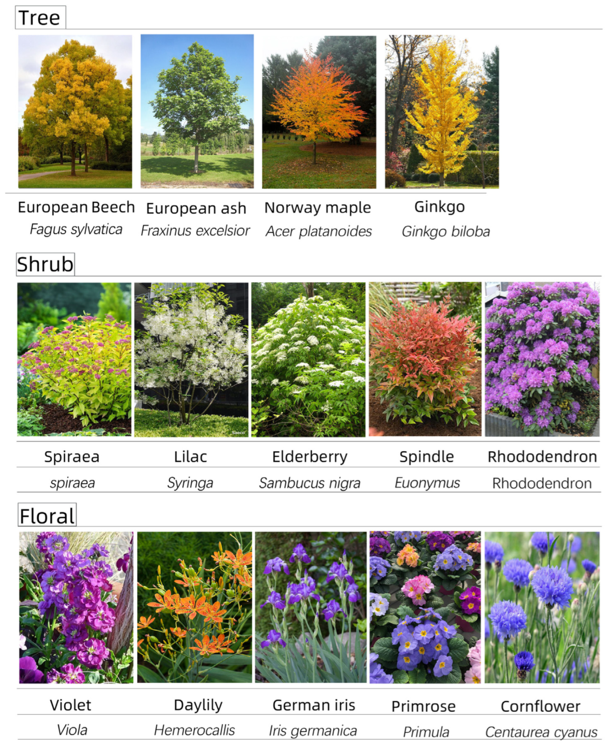 Plants 14 00747 g016