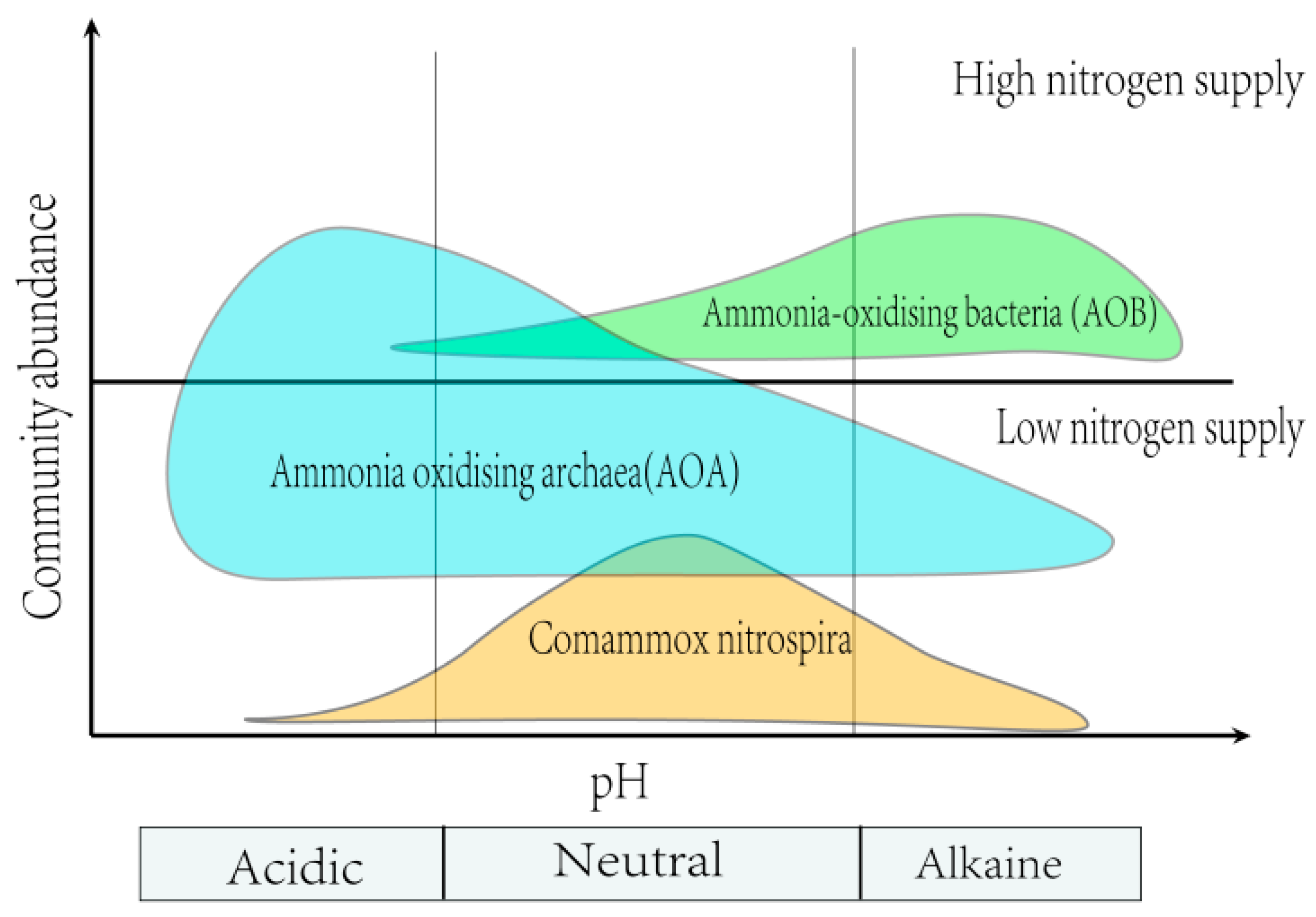Plants 14 00748 g004