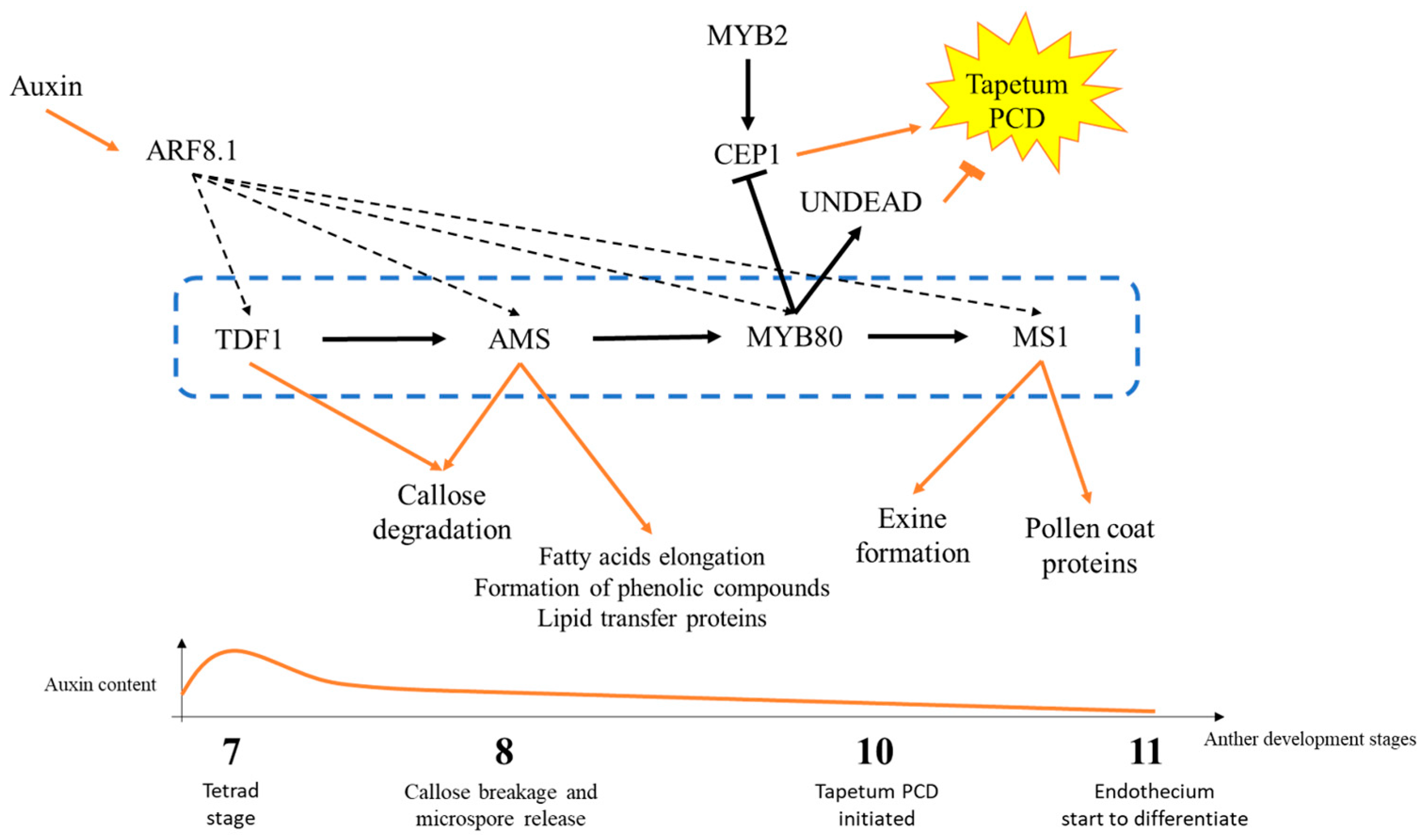 Plants 14 00749 g003