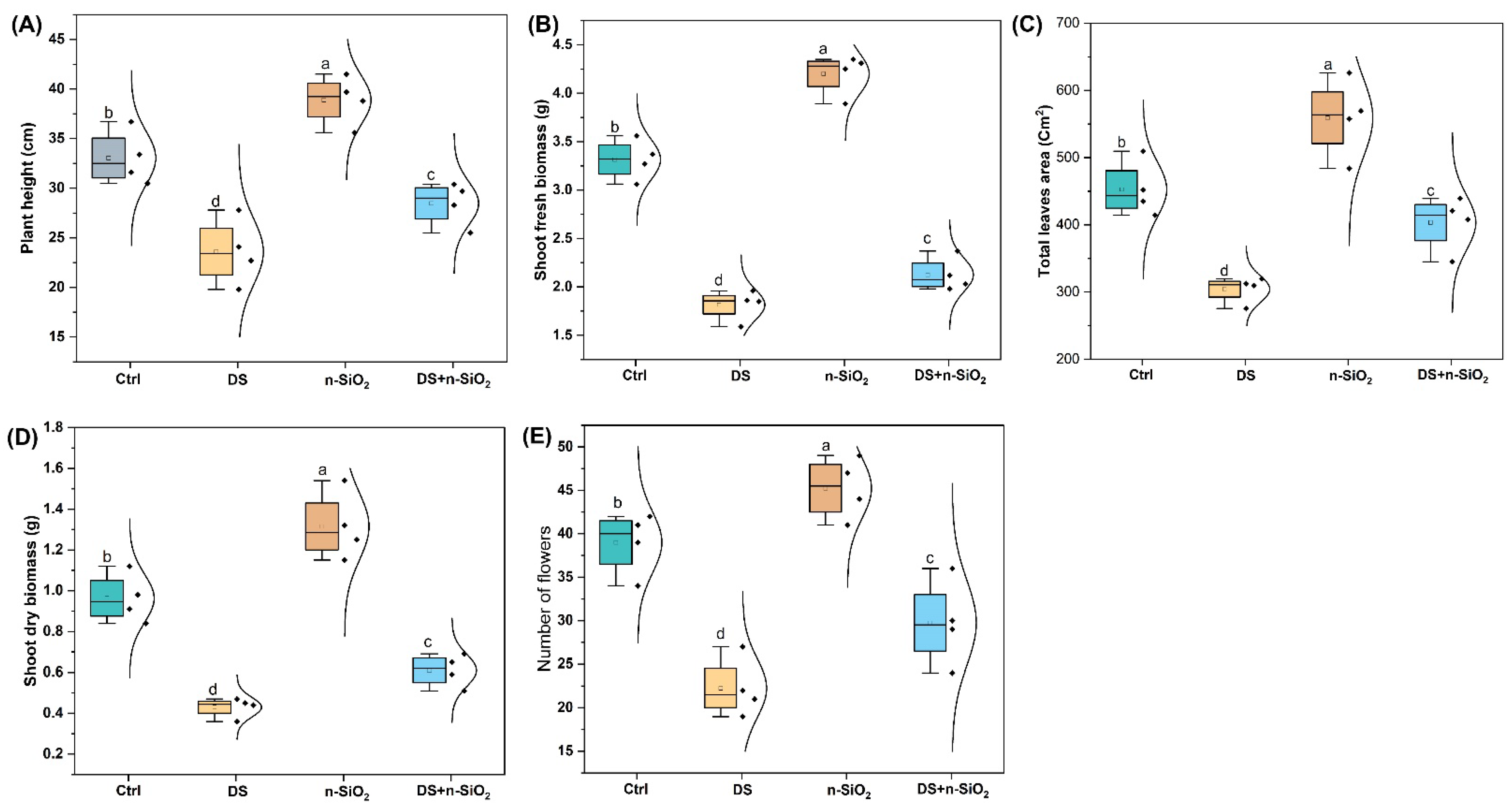 Plants 14 00751 g002 Plants 14 00751 g002