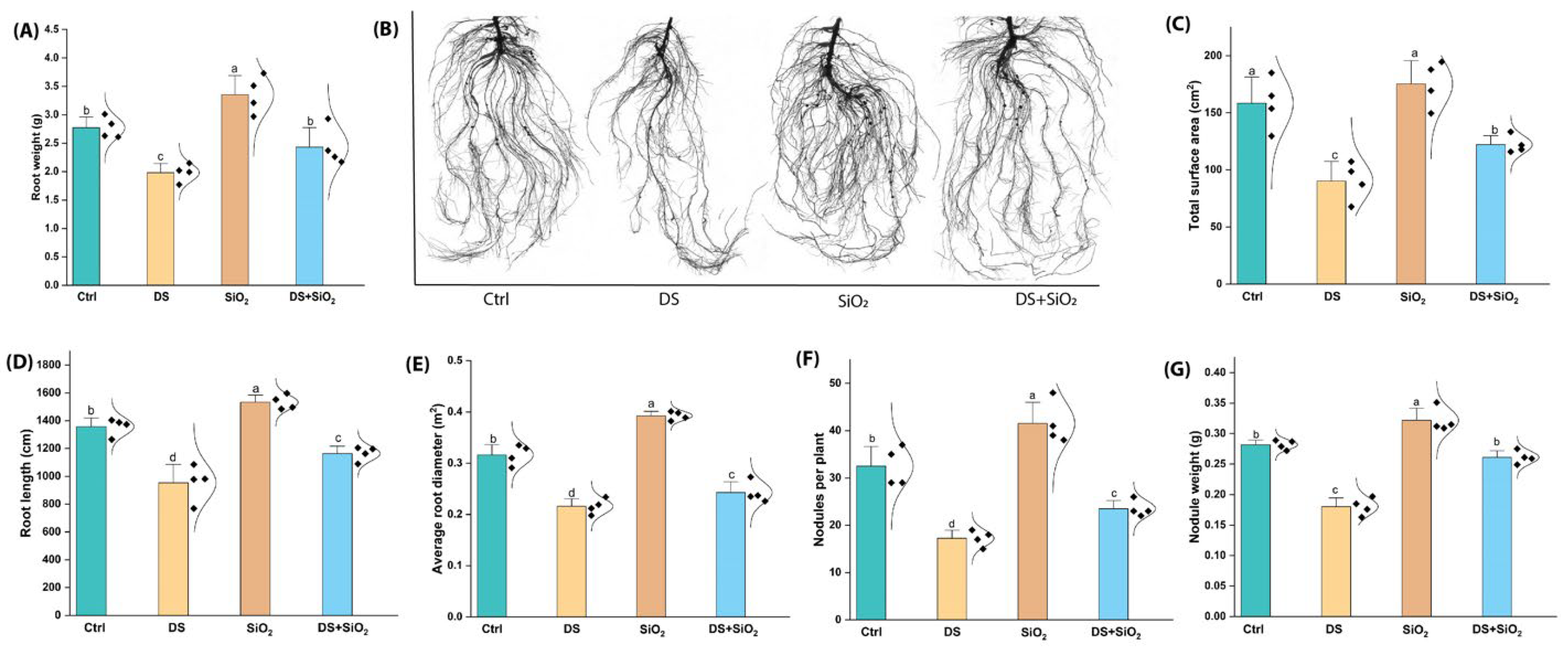 Plants 14 00751 g003 Plants 14 00751 g003