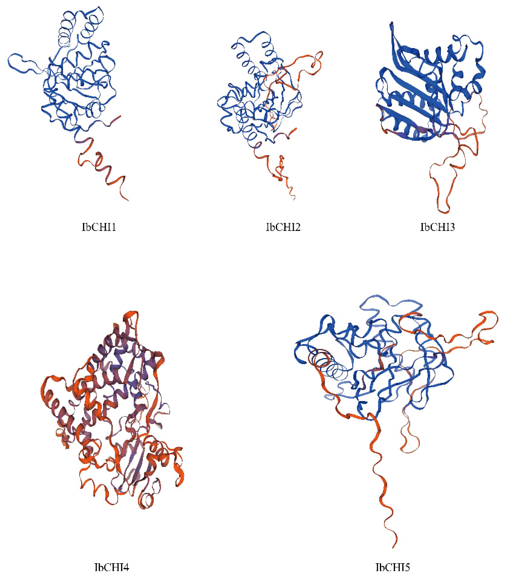 Plants 14 00752 g001