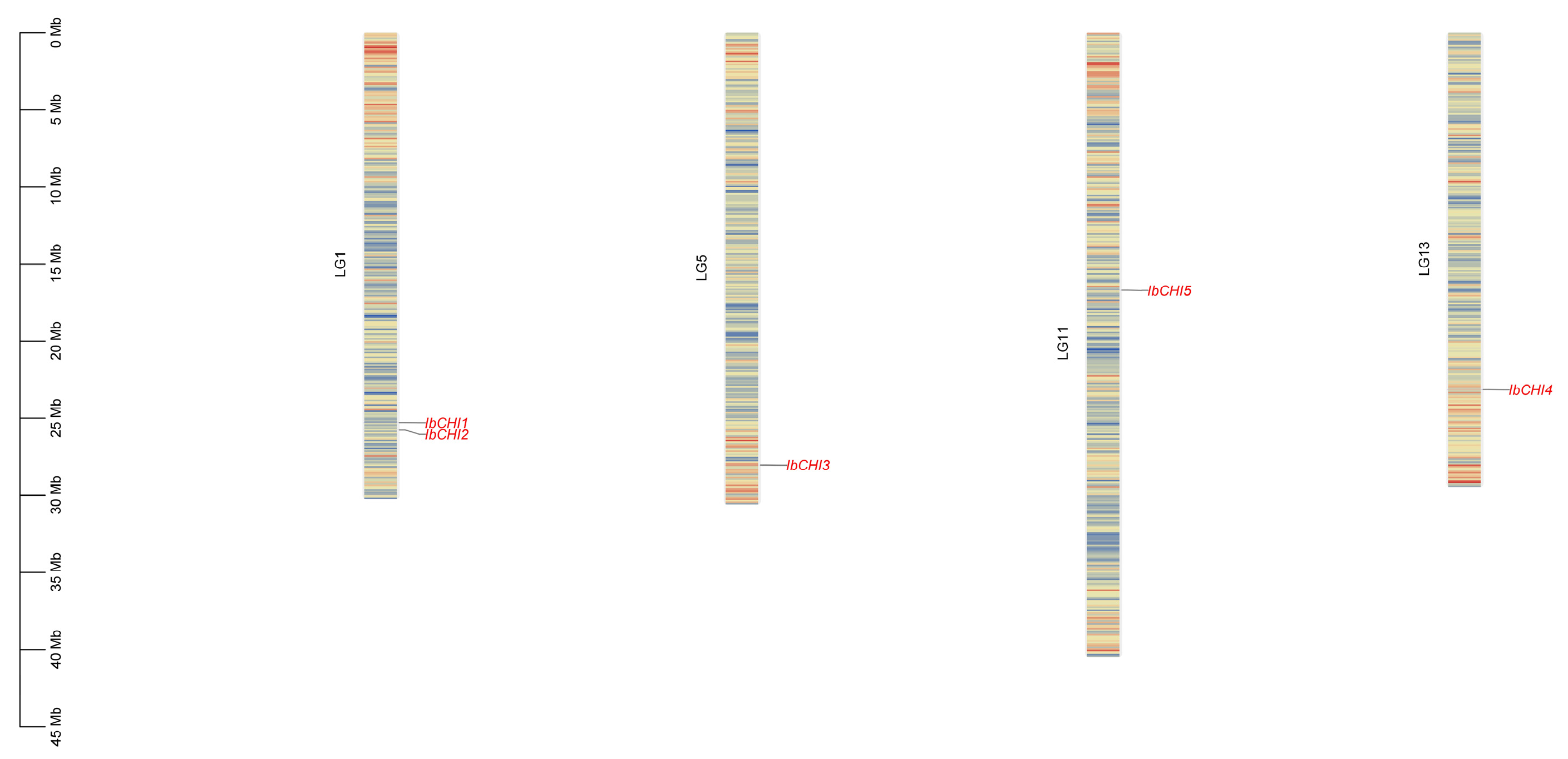 Plants 14 00752 g002