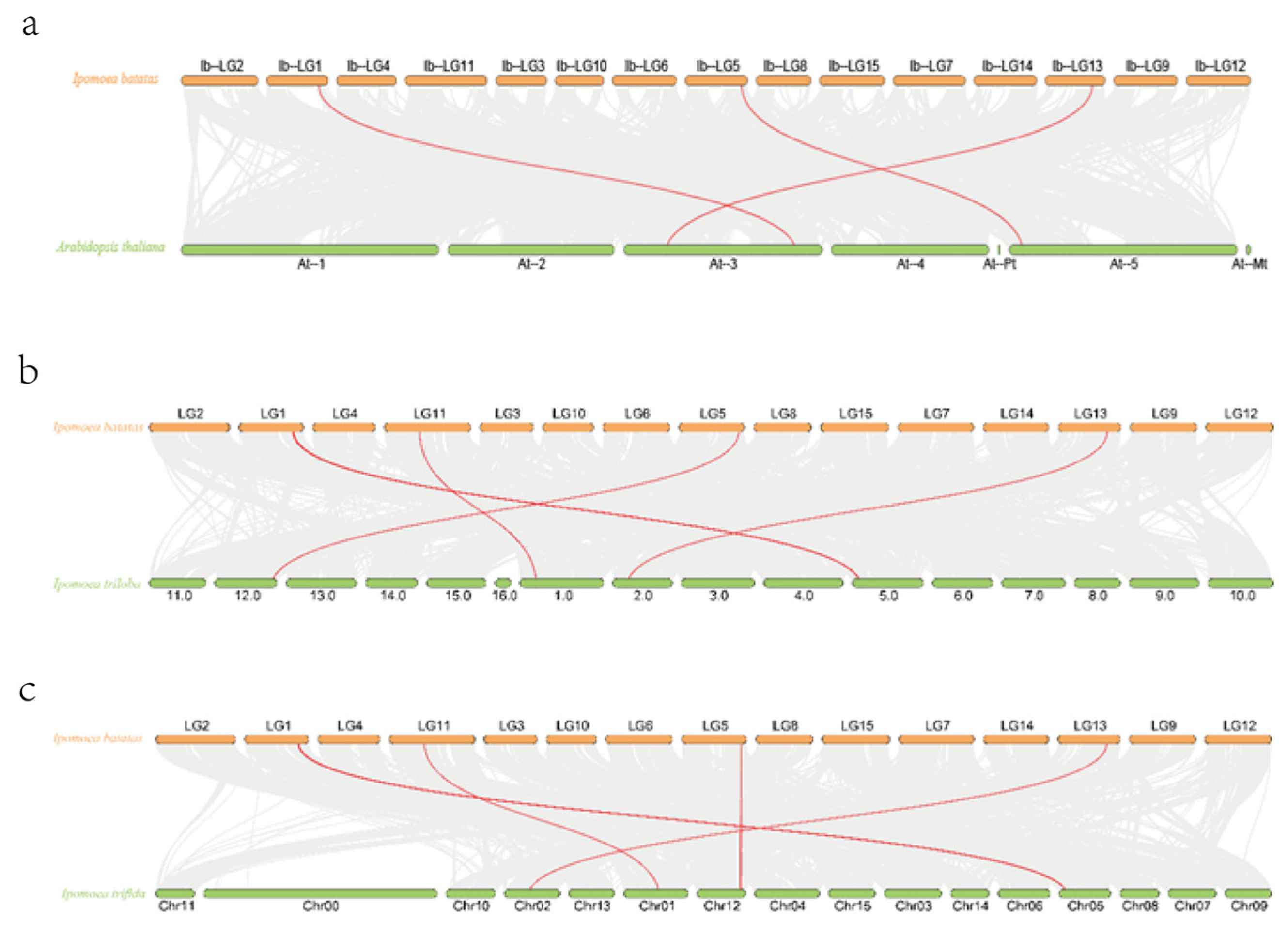 Plants 14 00752 g005