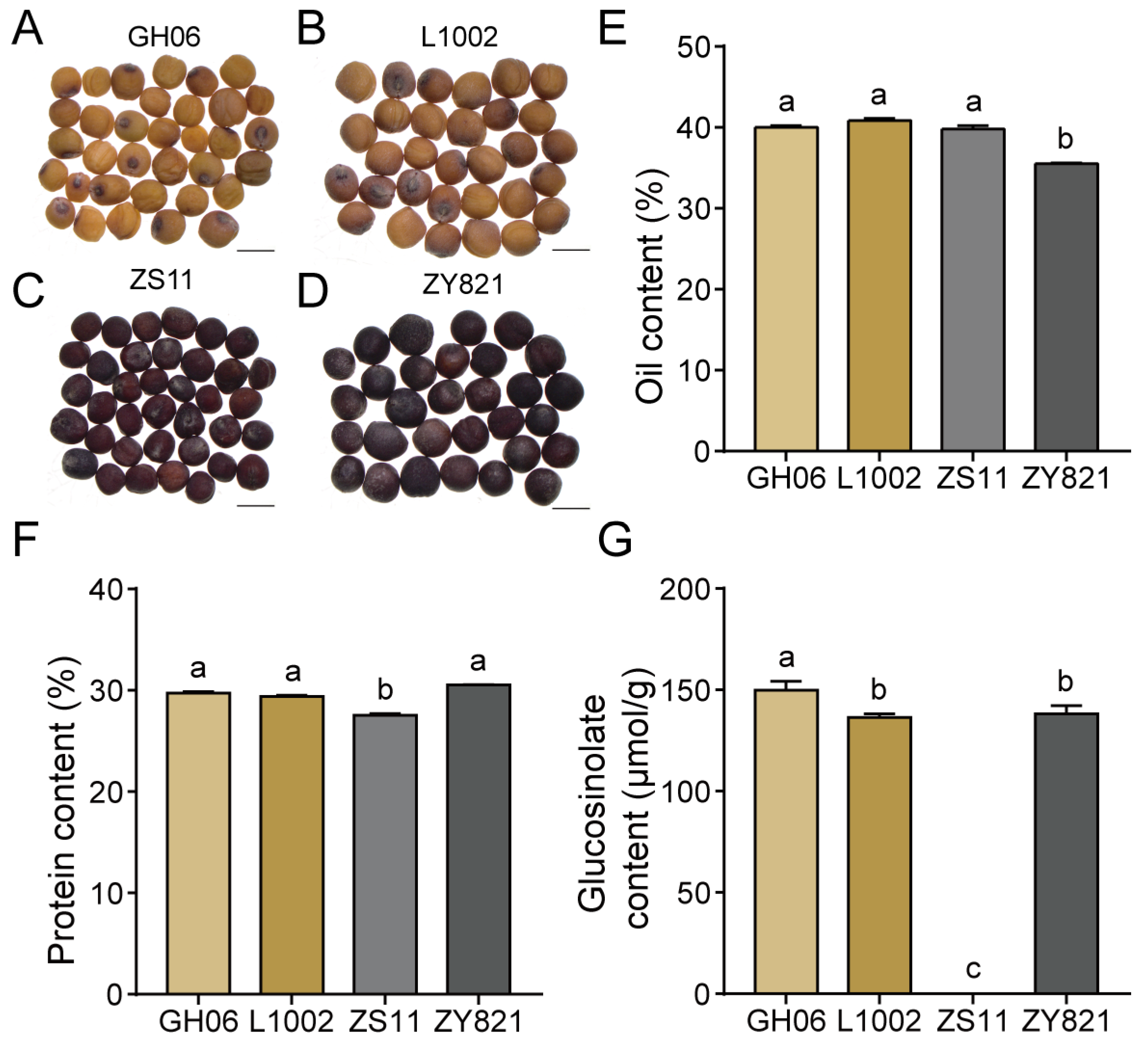 Plants 14 00753 g001