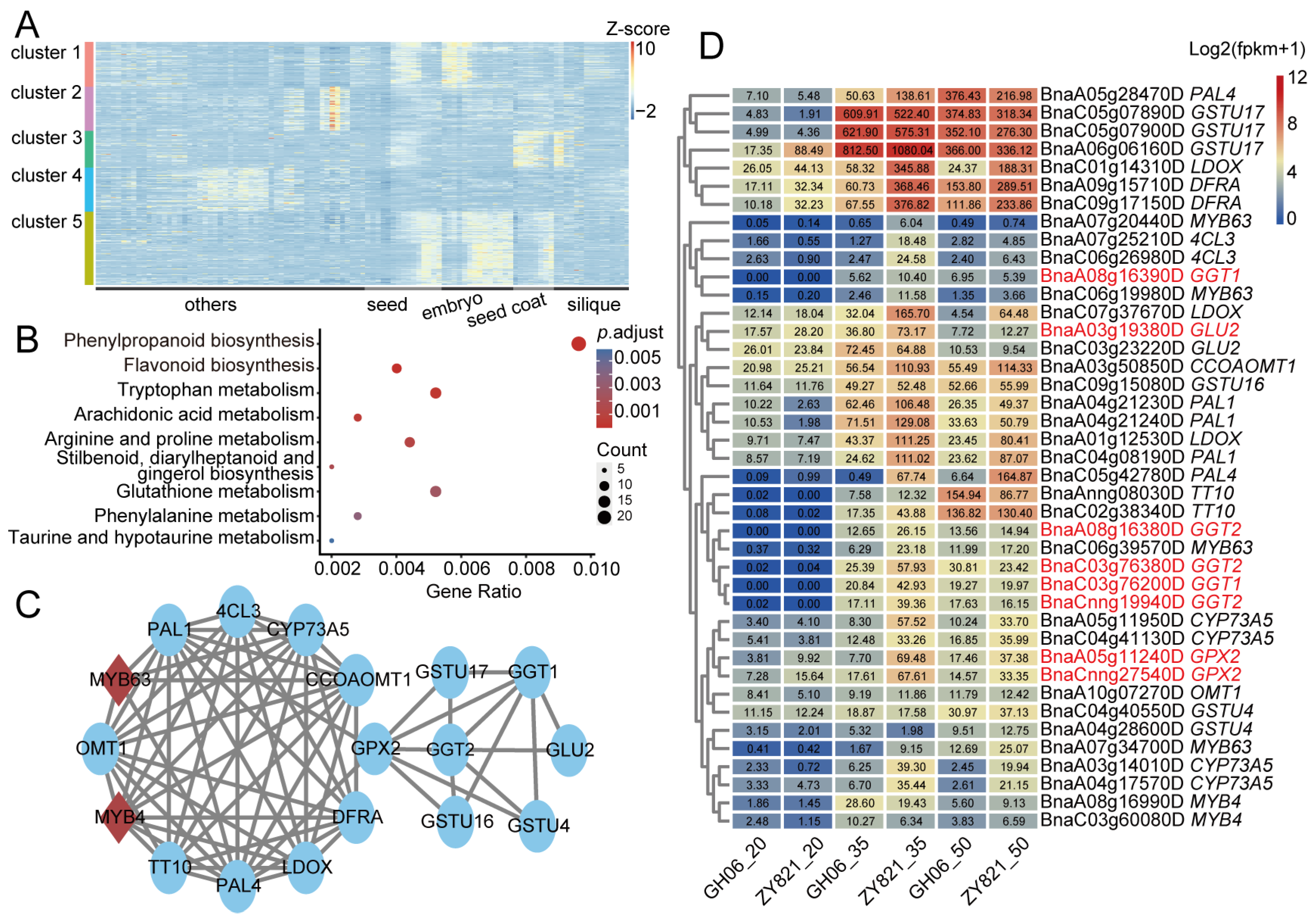 Plants 14 00753 g005