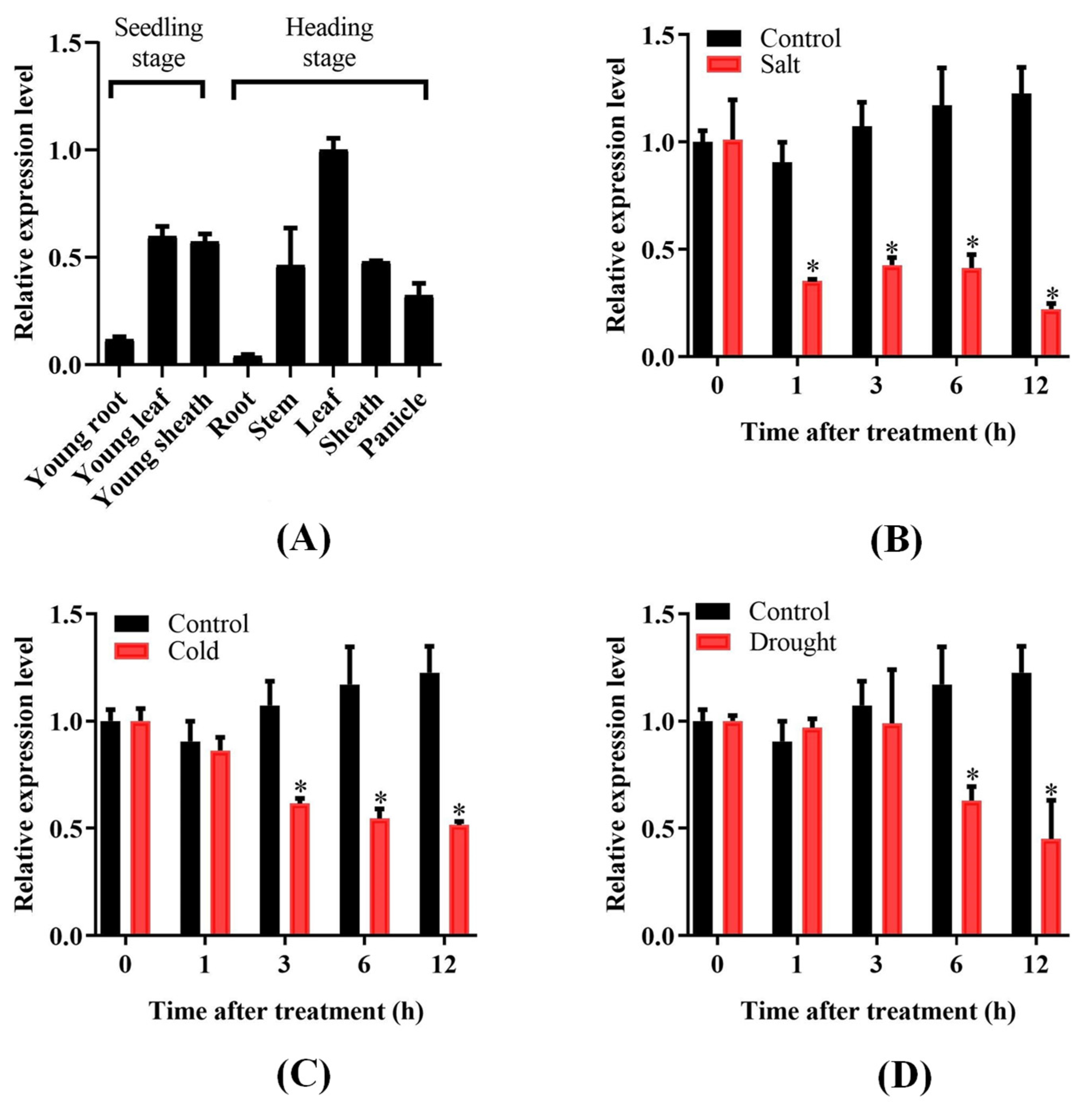 Plants 14 00758 g002