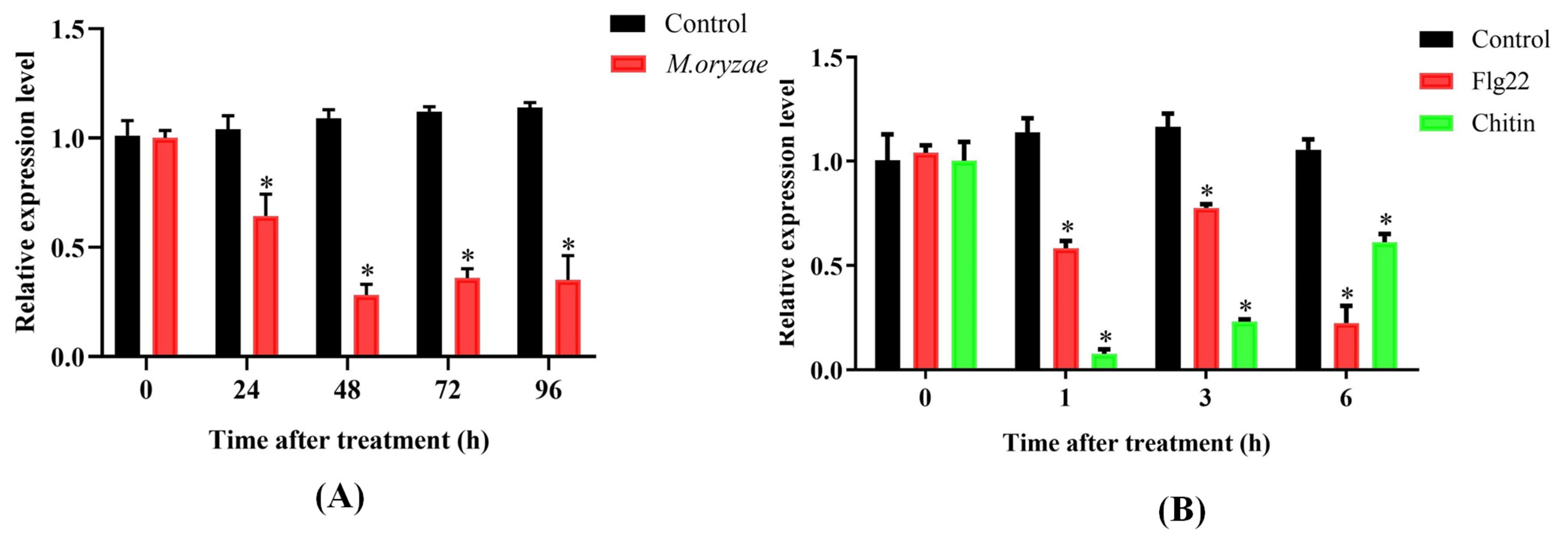 Plants 14 00758 g004
