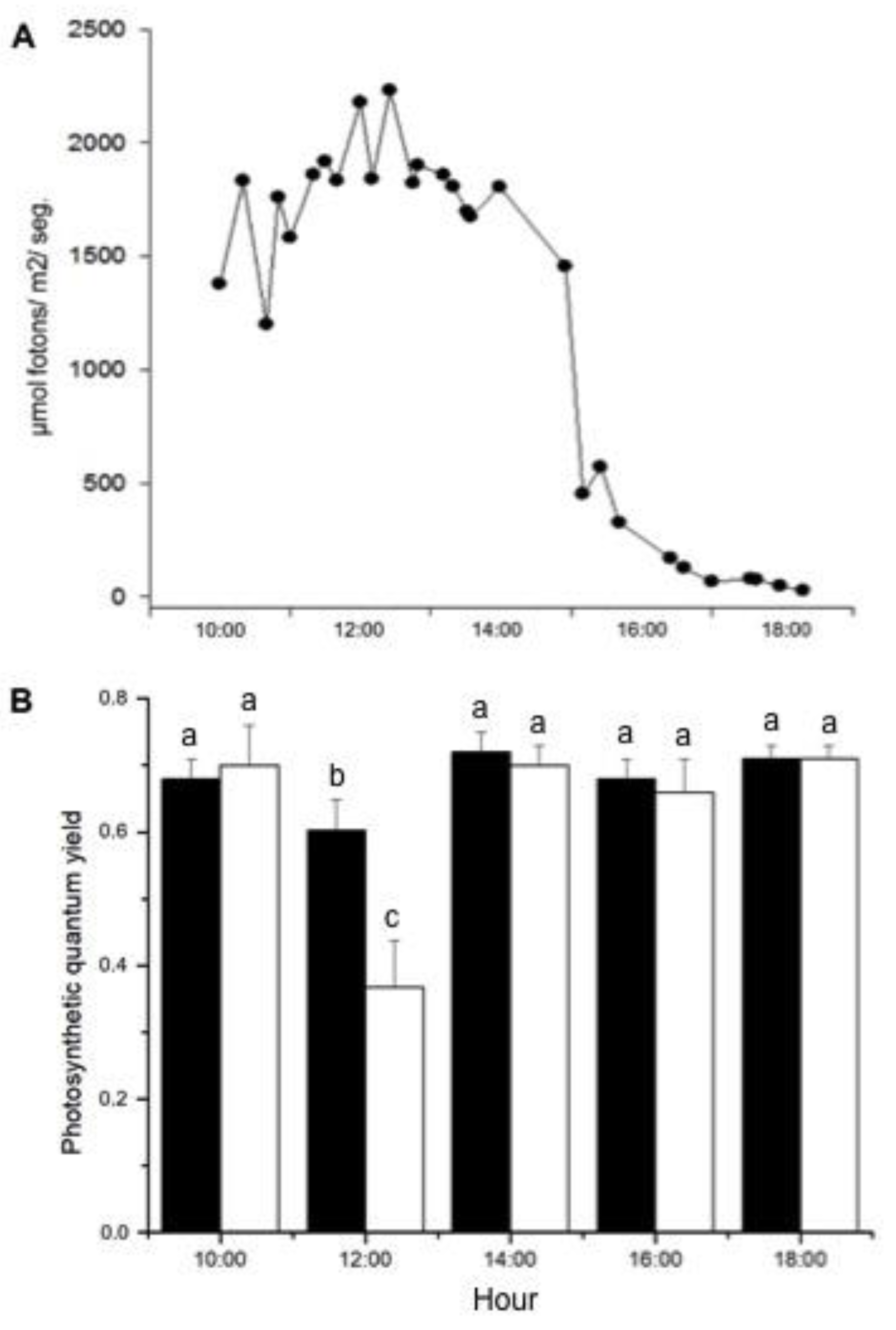 Plants 14 00759 g001