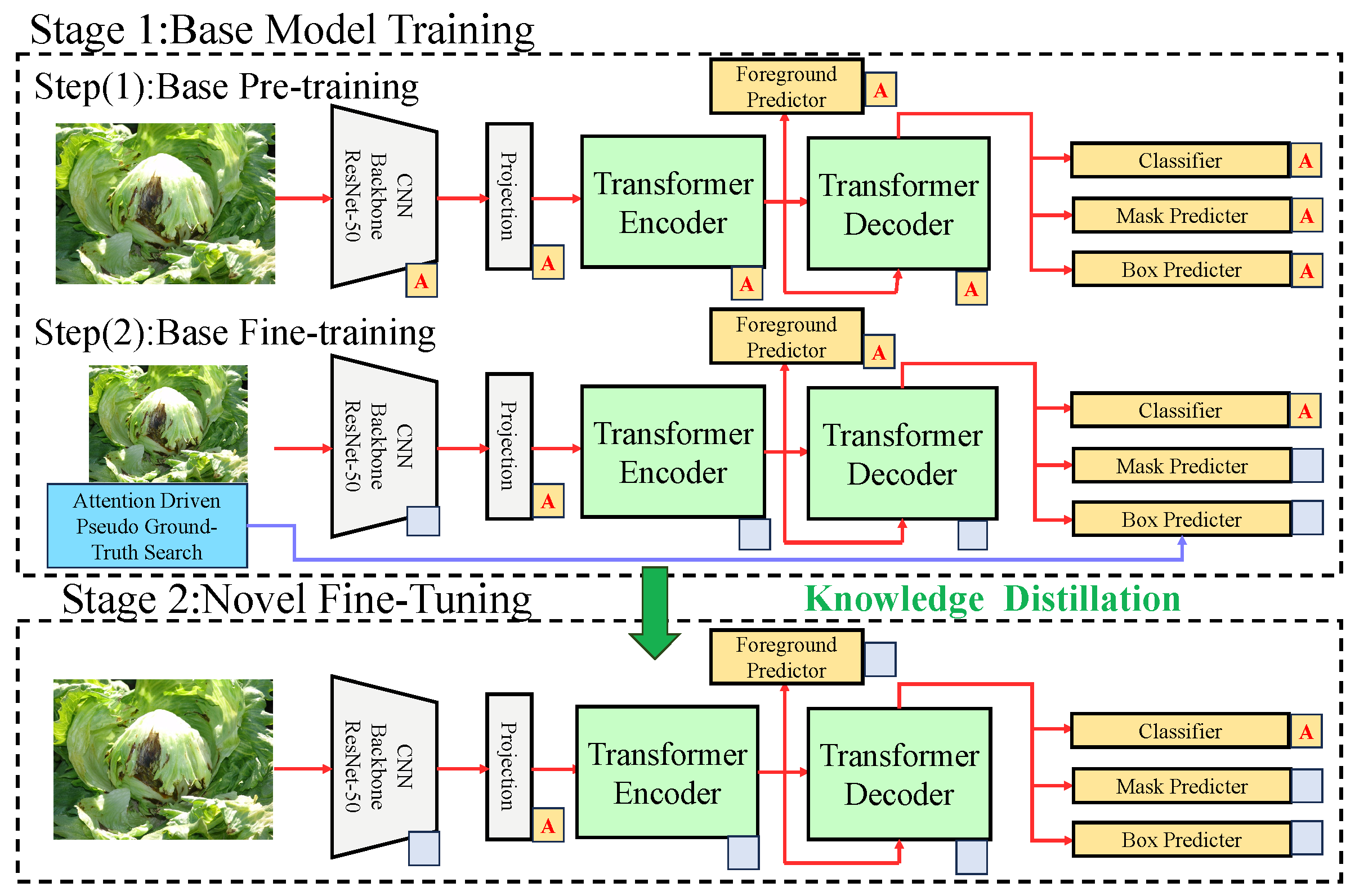 Plants 14 00760 g002