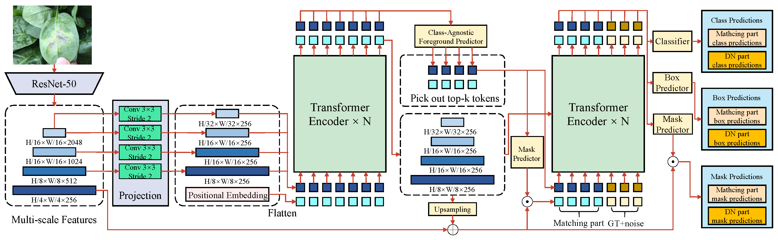 Plants 14 00760 g003