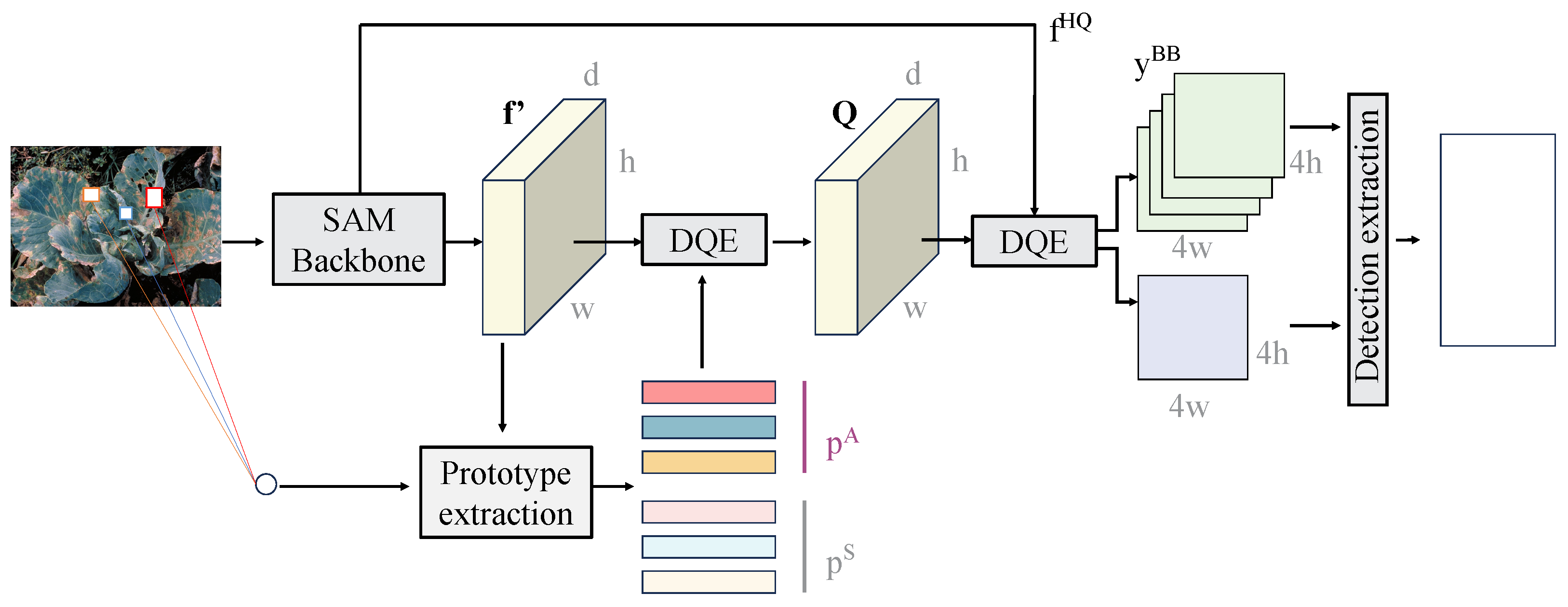 Plants 14 00760 g004