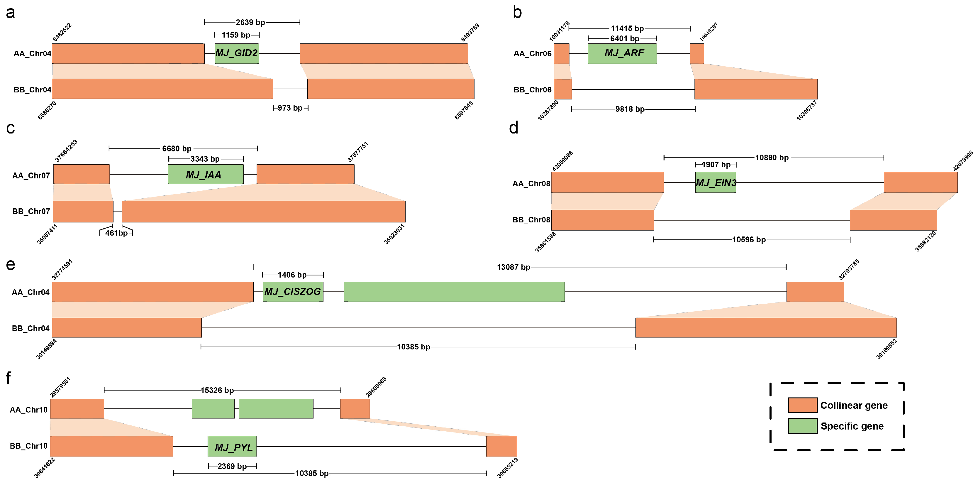 Plants 14 00761 g003