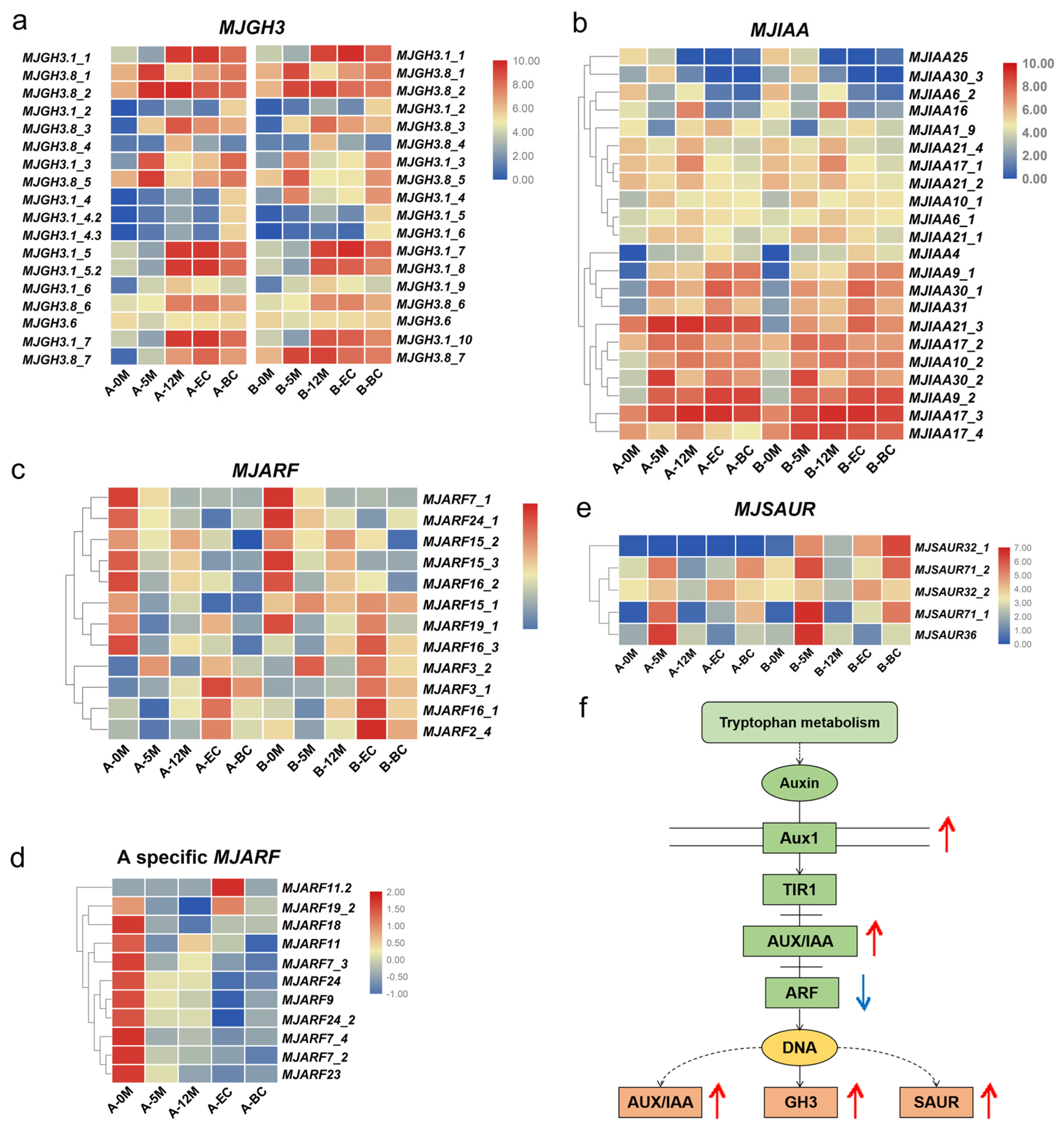 Plants 14 00761 g004