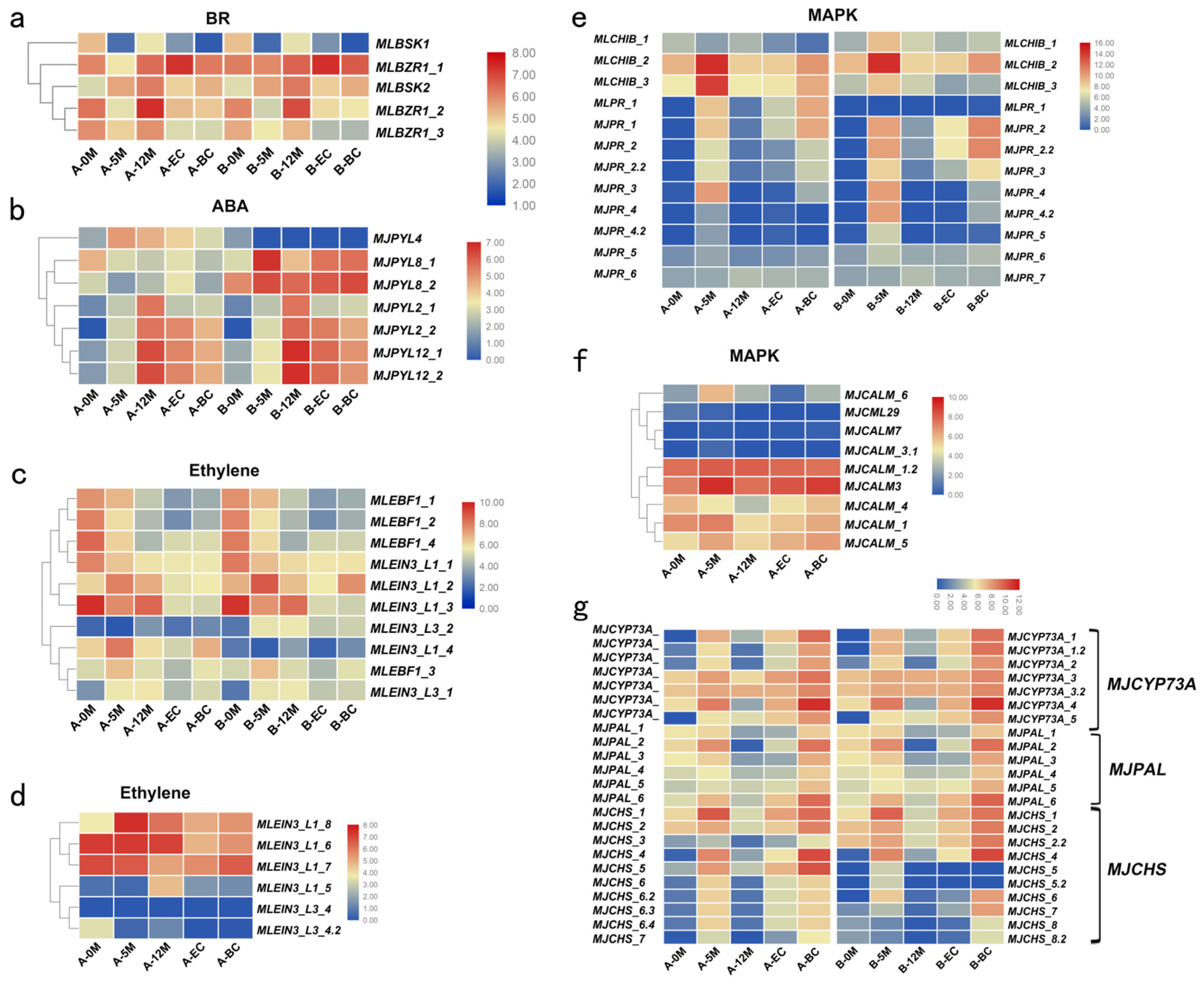 Plants 14 00761 g005