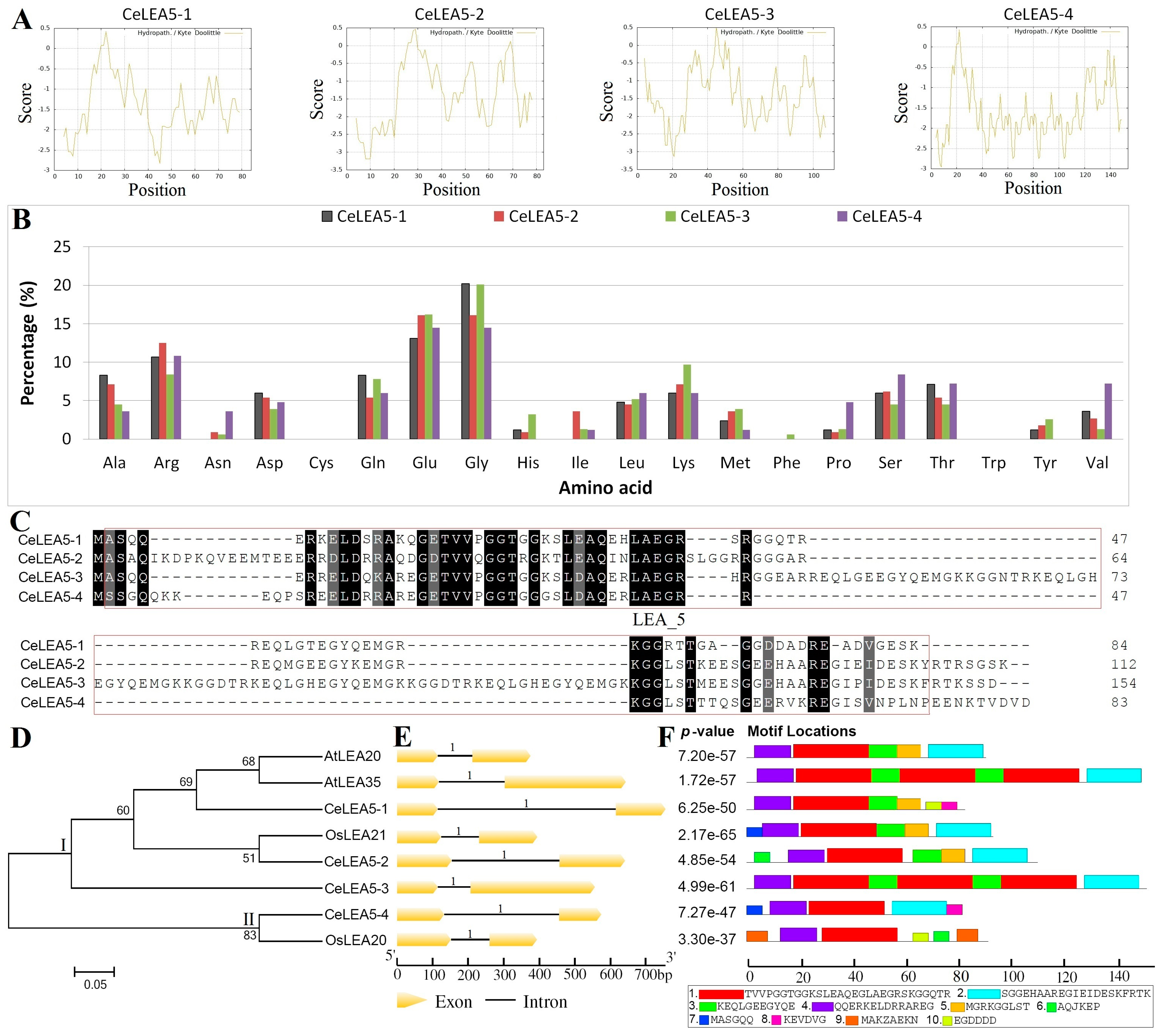 Plants 14 00762 g001 Plants 14 00762 g001
