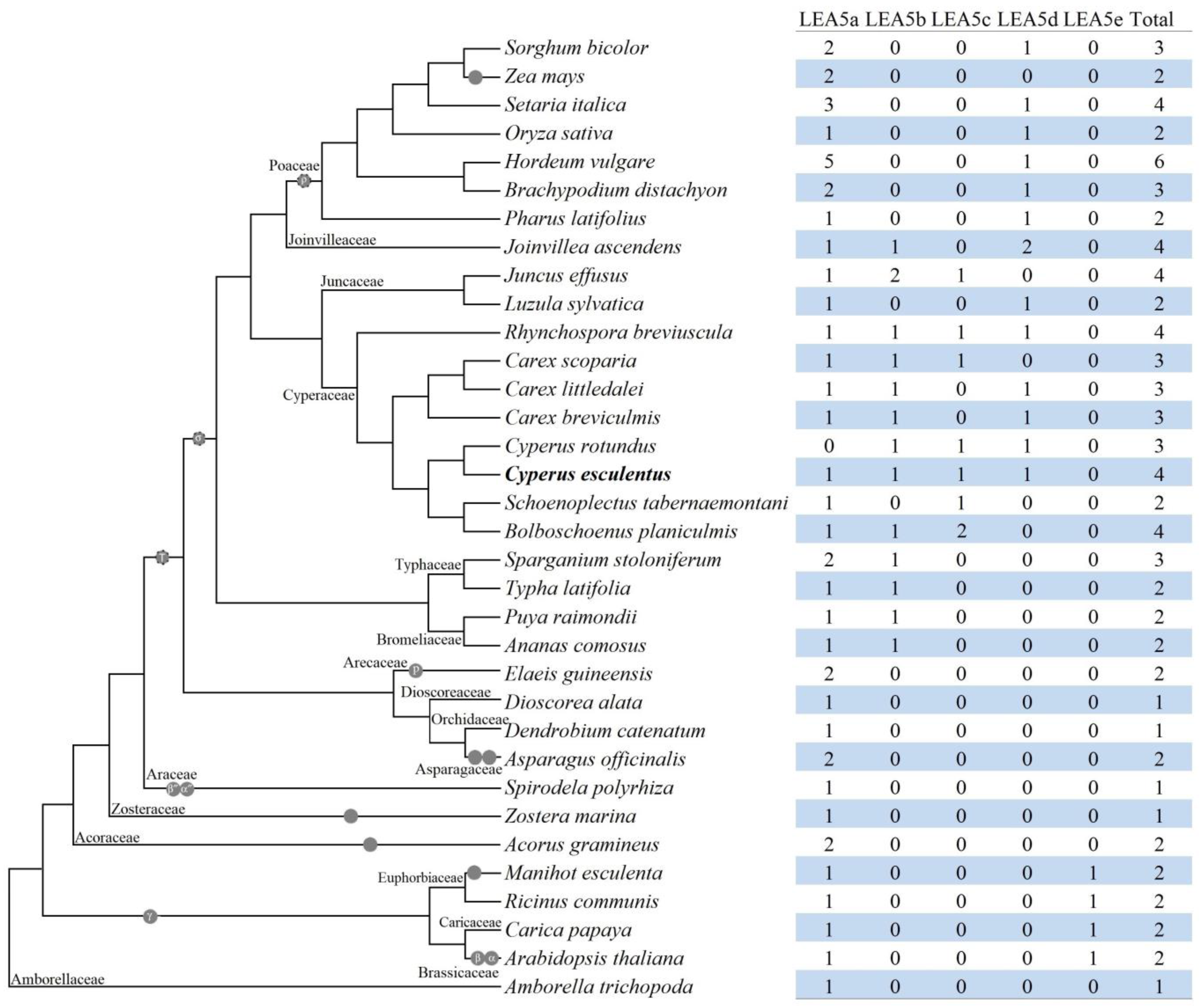 Plants 14 00762 g002 Plants 14 00762 g002