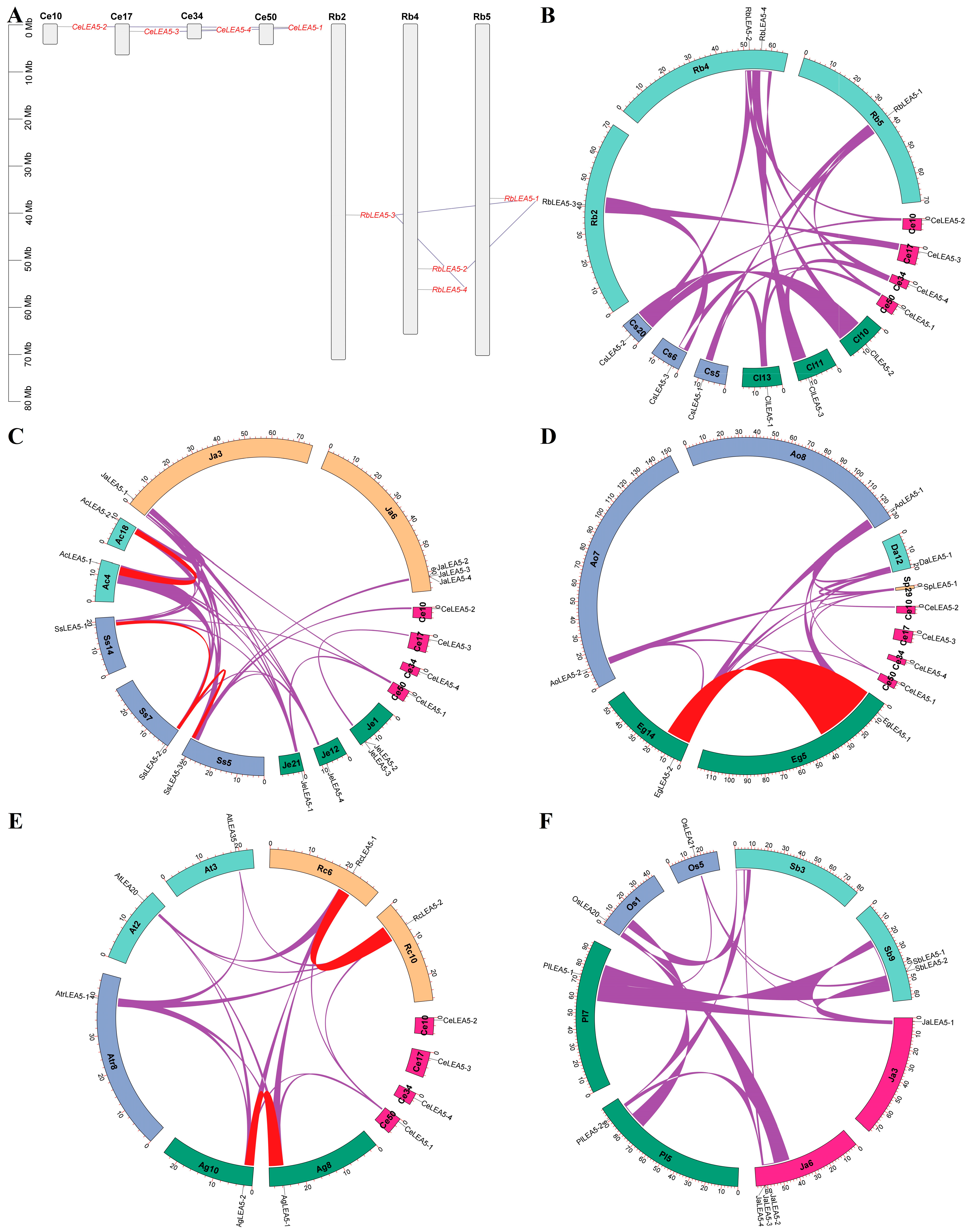 Plants 14 00762 g003 Plants 14 00762 g003