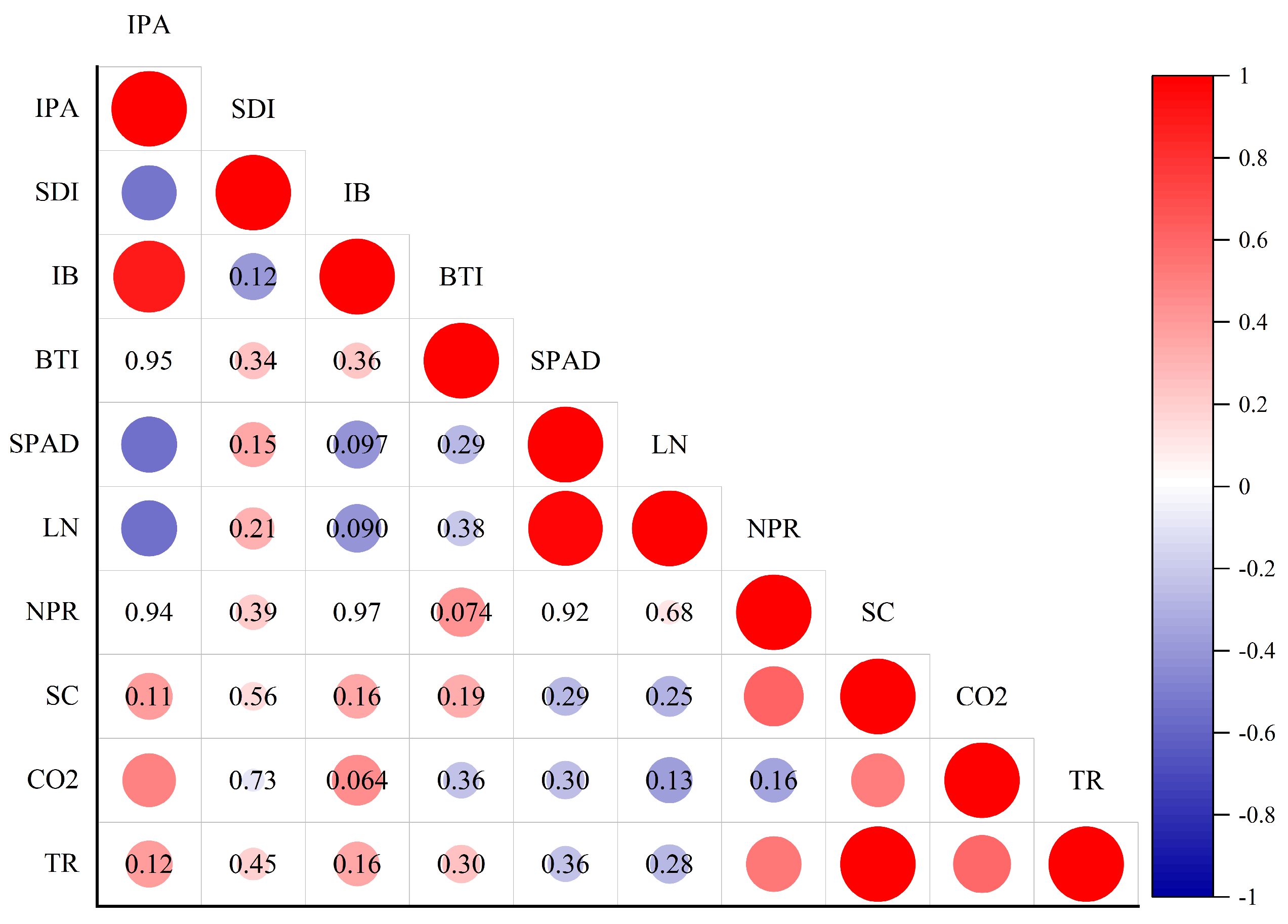 Plants 14 00763 g004