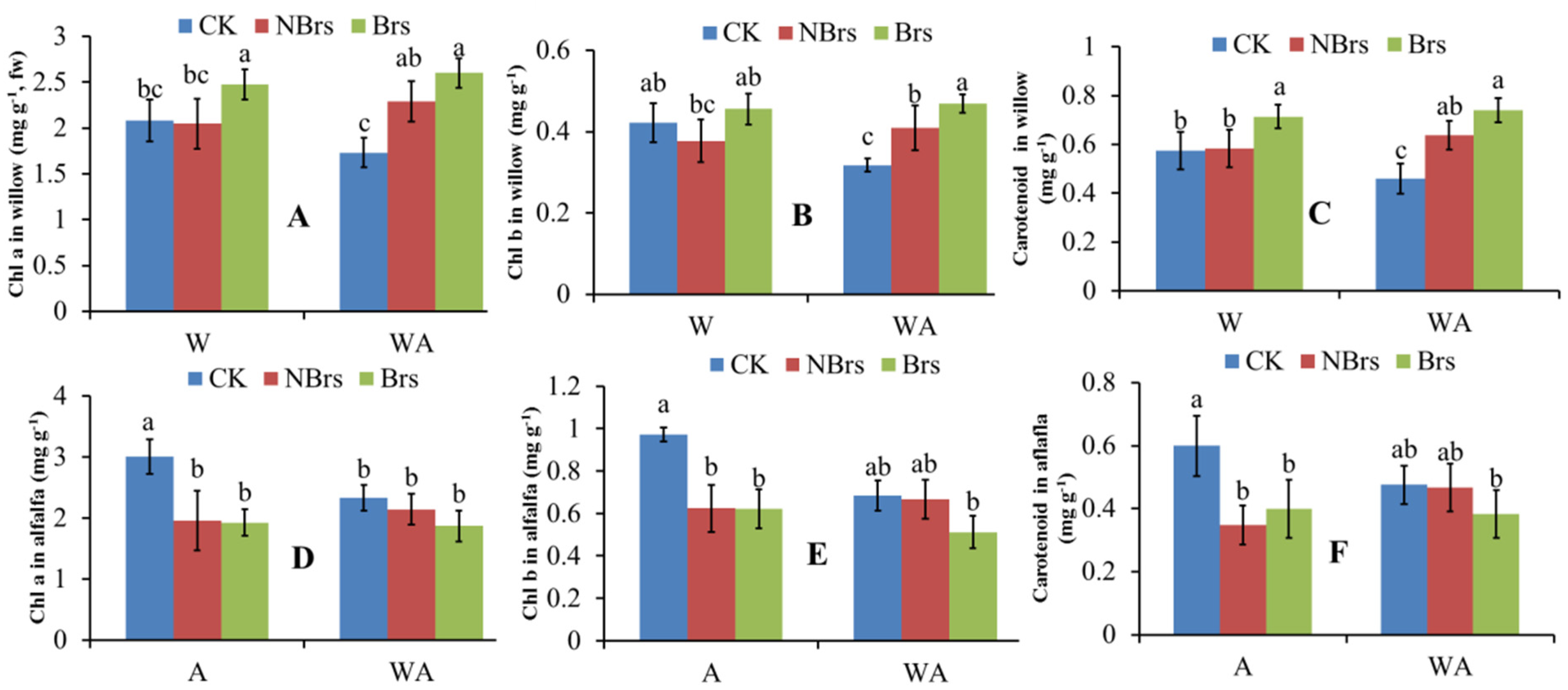 Plants 14 00765 g001