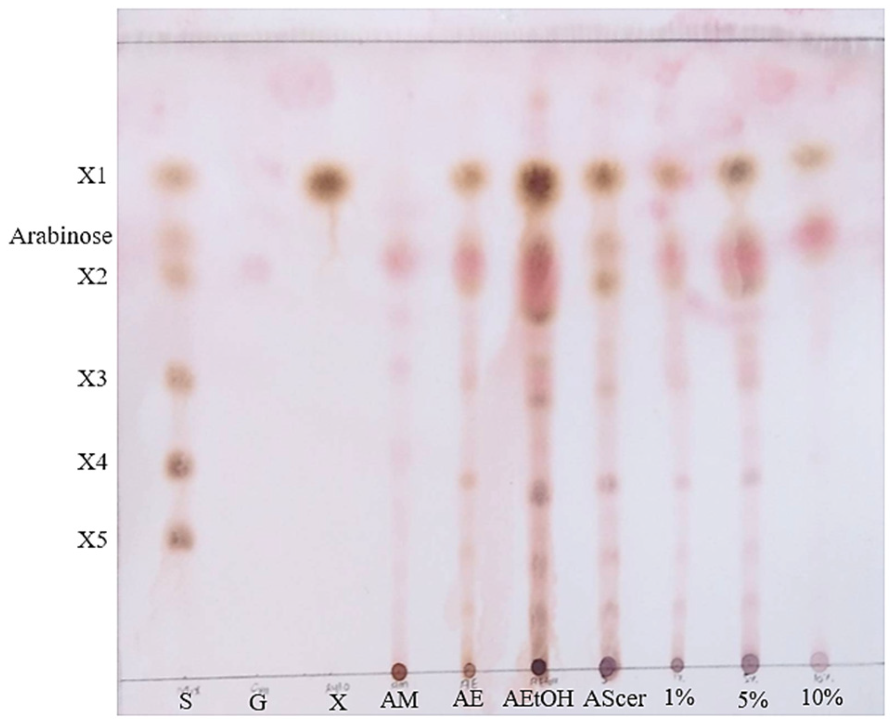 Plants 14 00769 g004