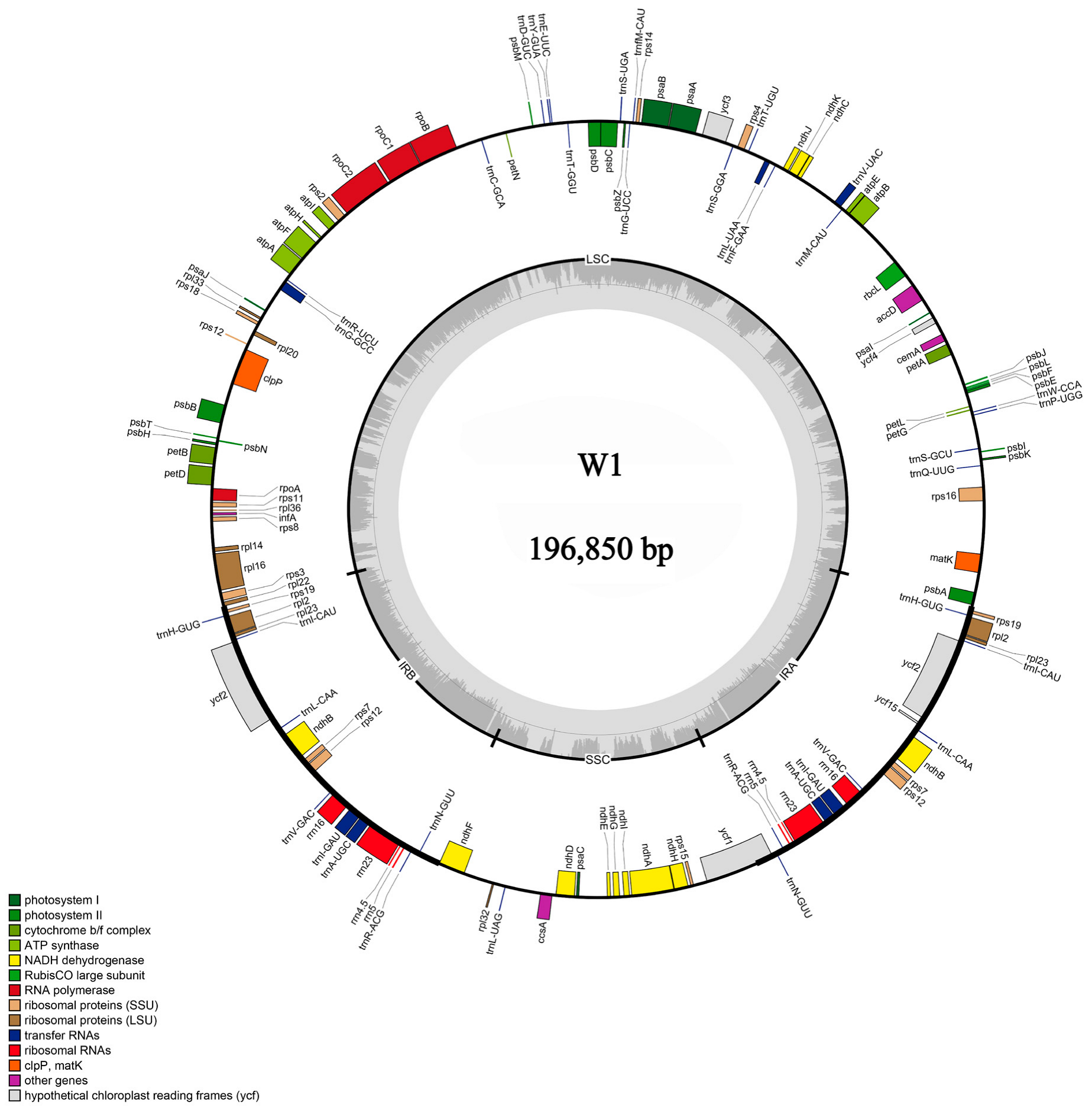 Plants 14 00772 g005