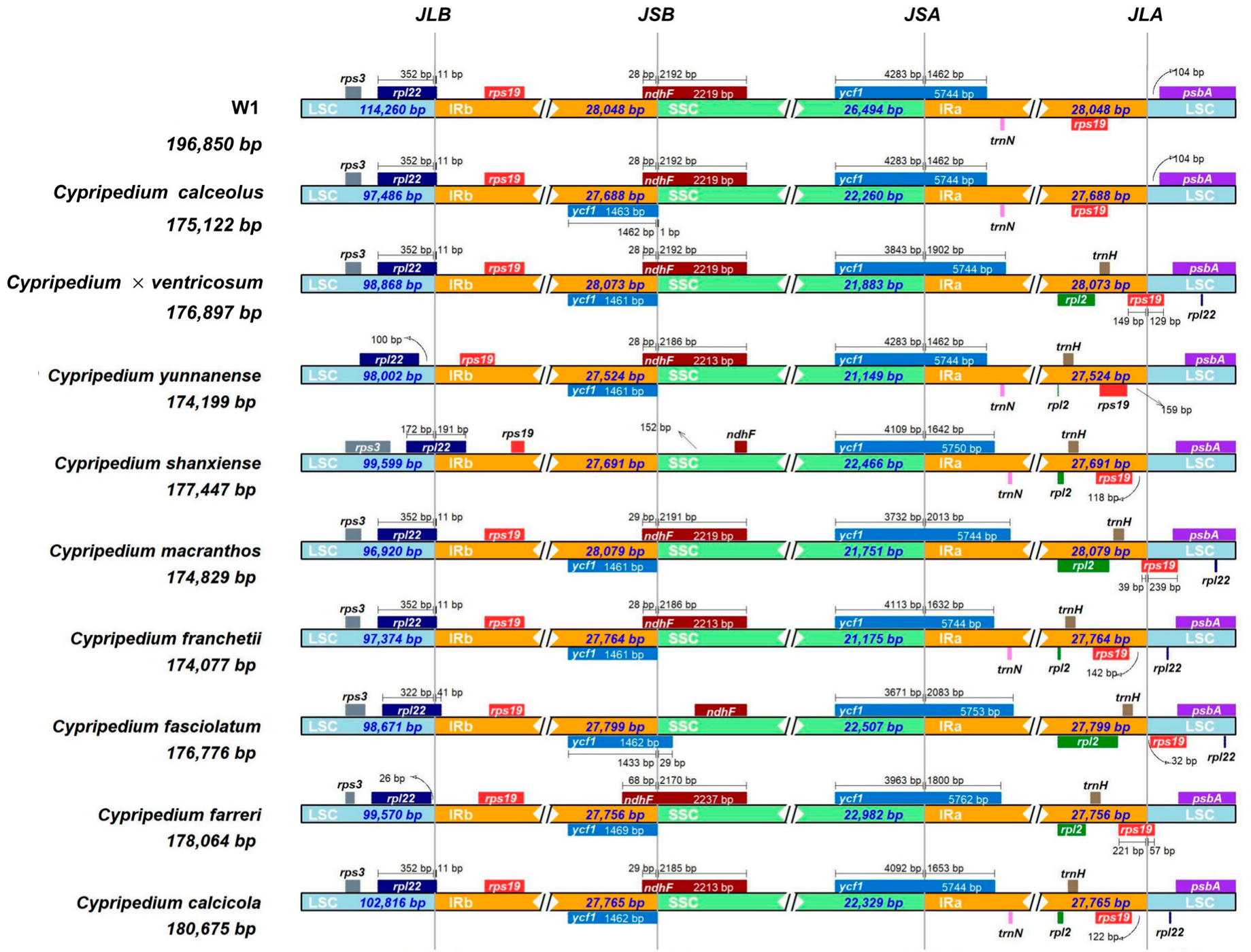 Plants 14 00772 g010