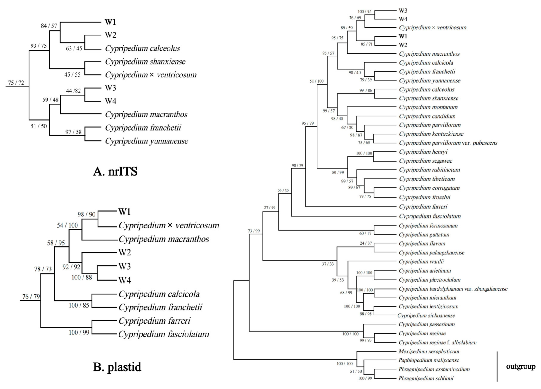 Plants 14 00772 g011