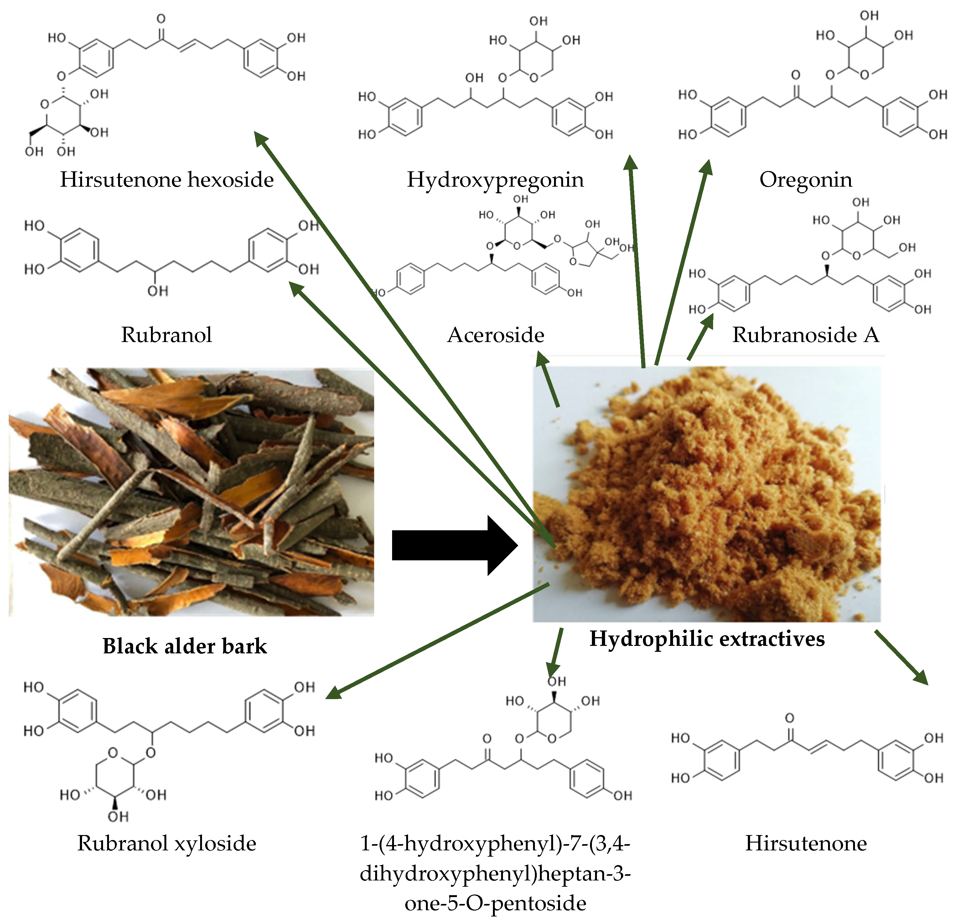 Plants 14 00775 g001
