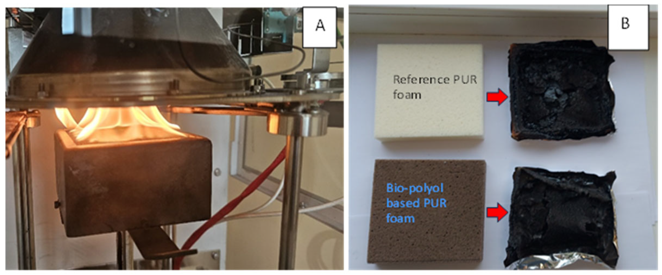 Plants 14 00775 g011