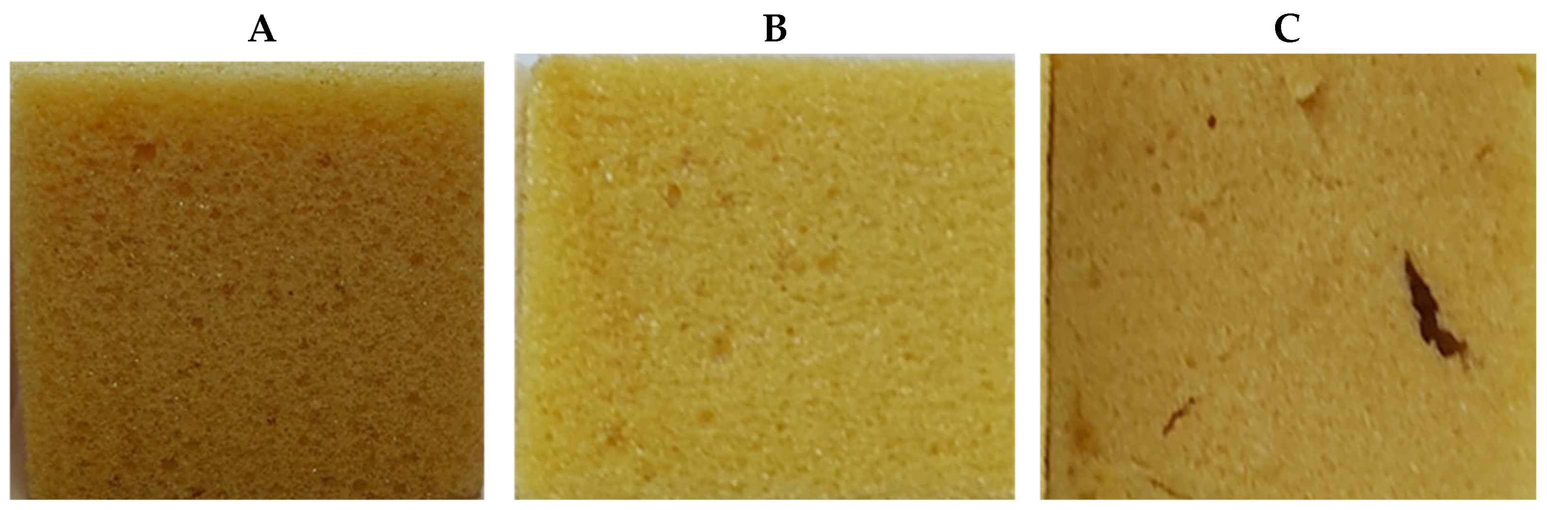 Plants 14 00775 g014