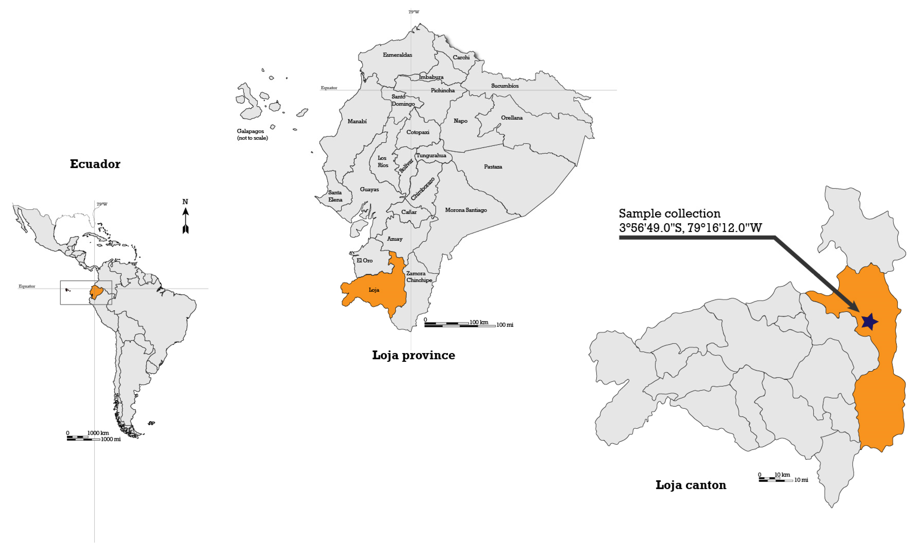 Plants 14 00777 g007