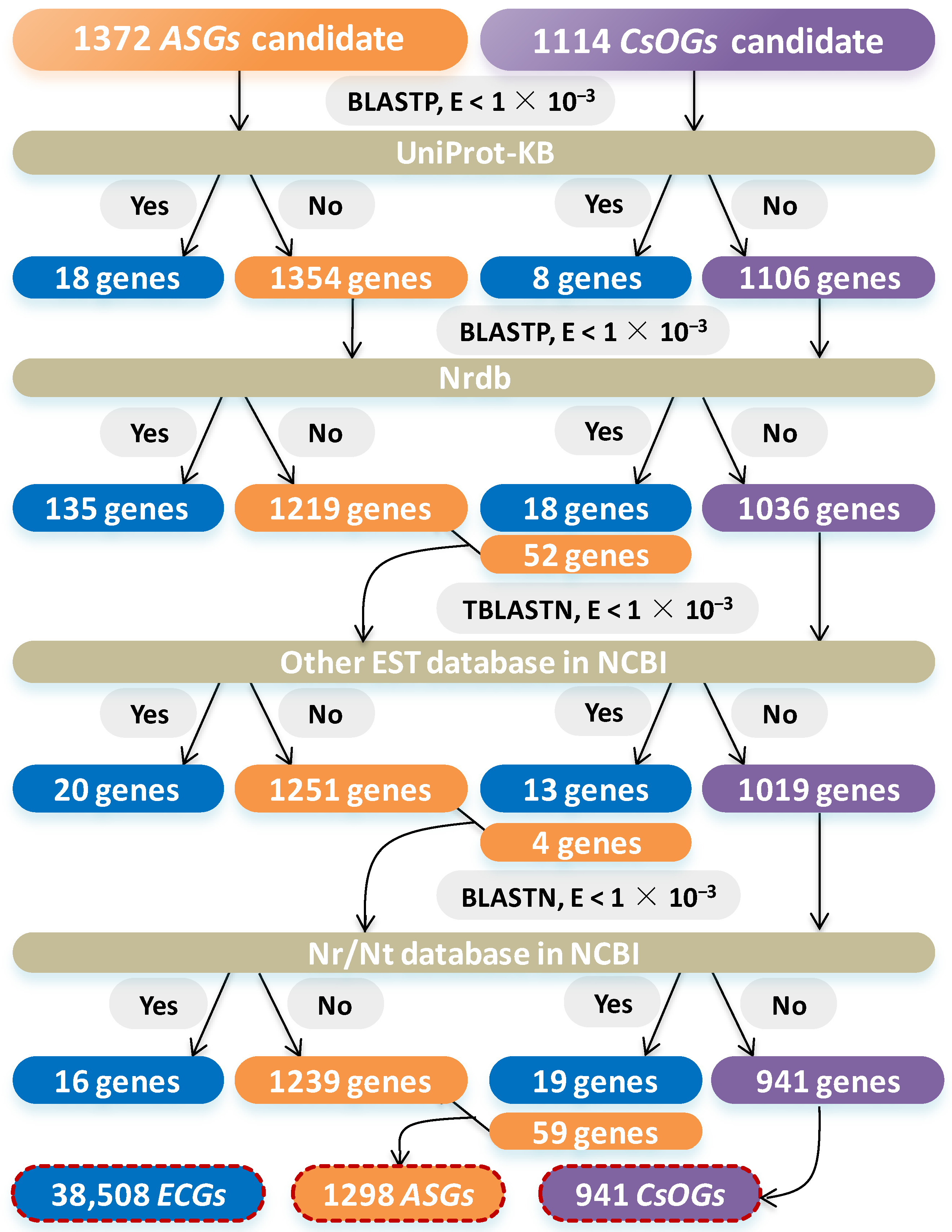 Plants 14 00778 g002