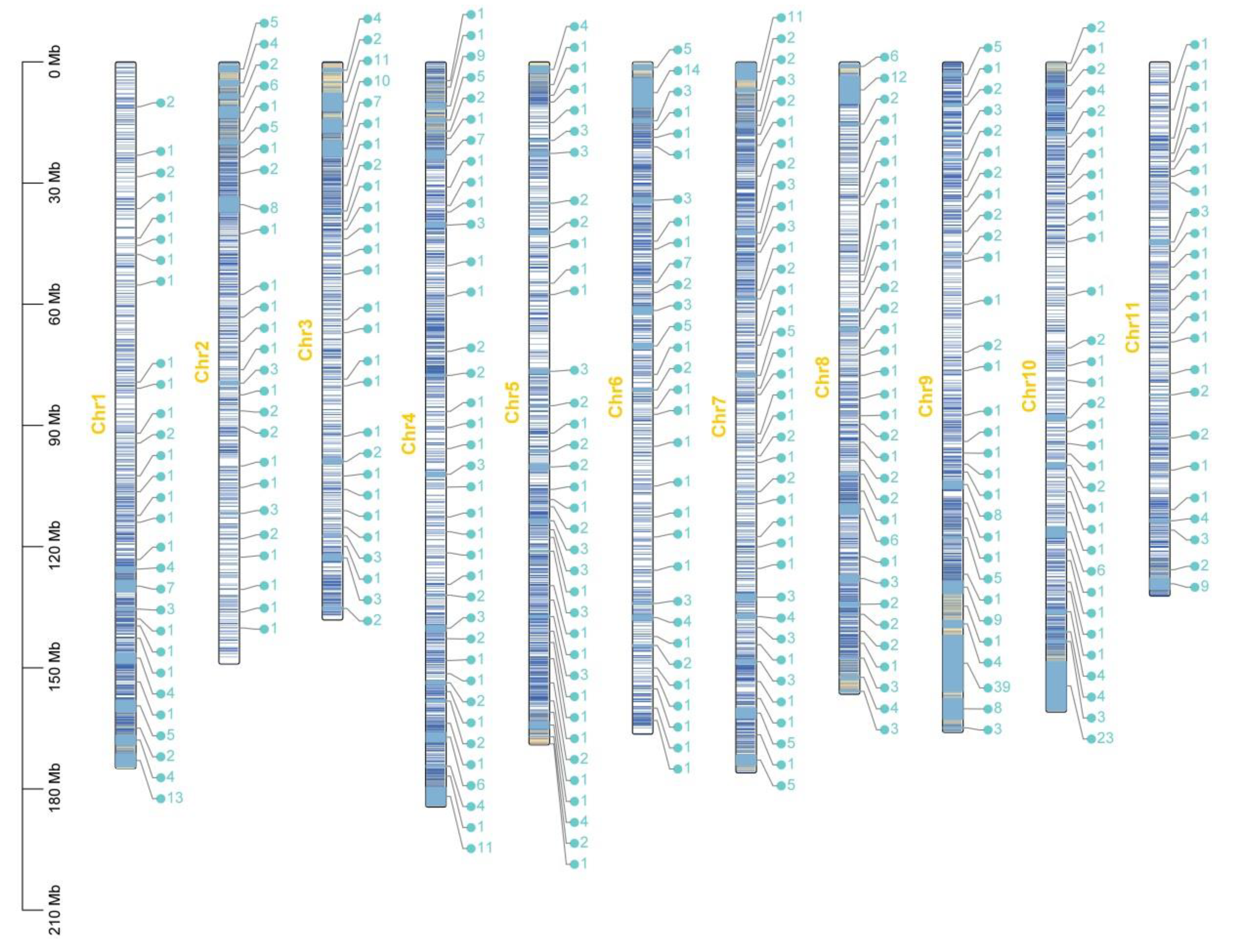 Plants 14 00778 g004