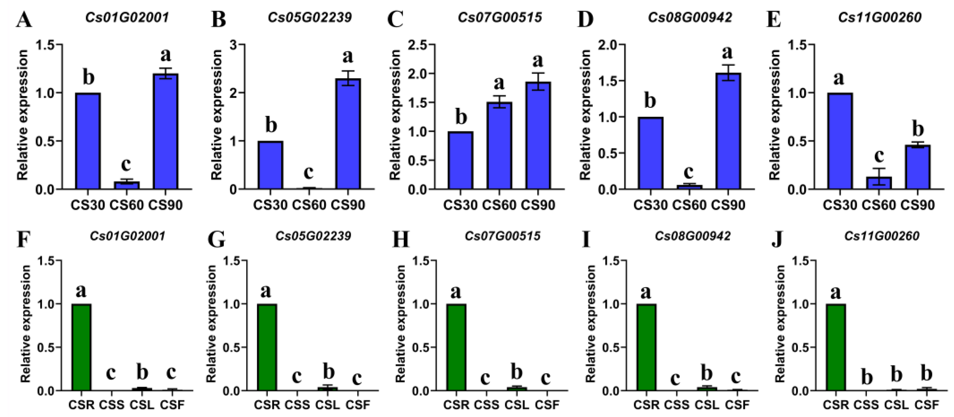 Plants 14 00778 g006
