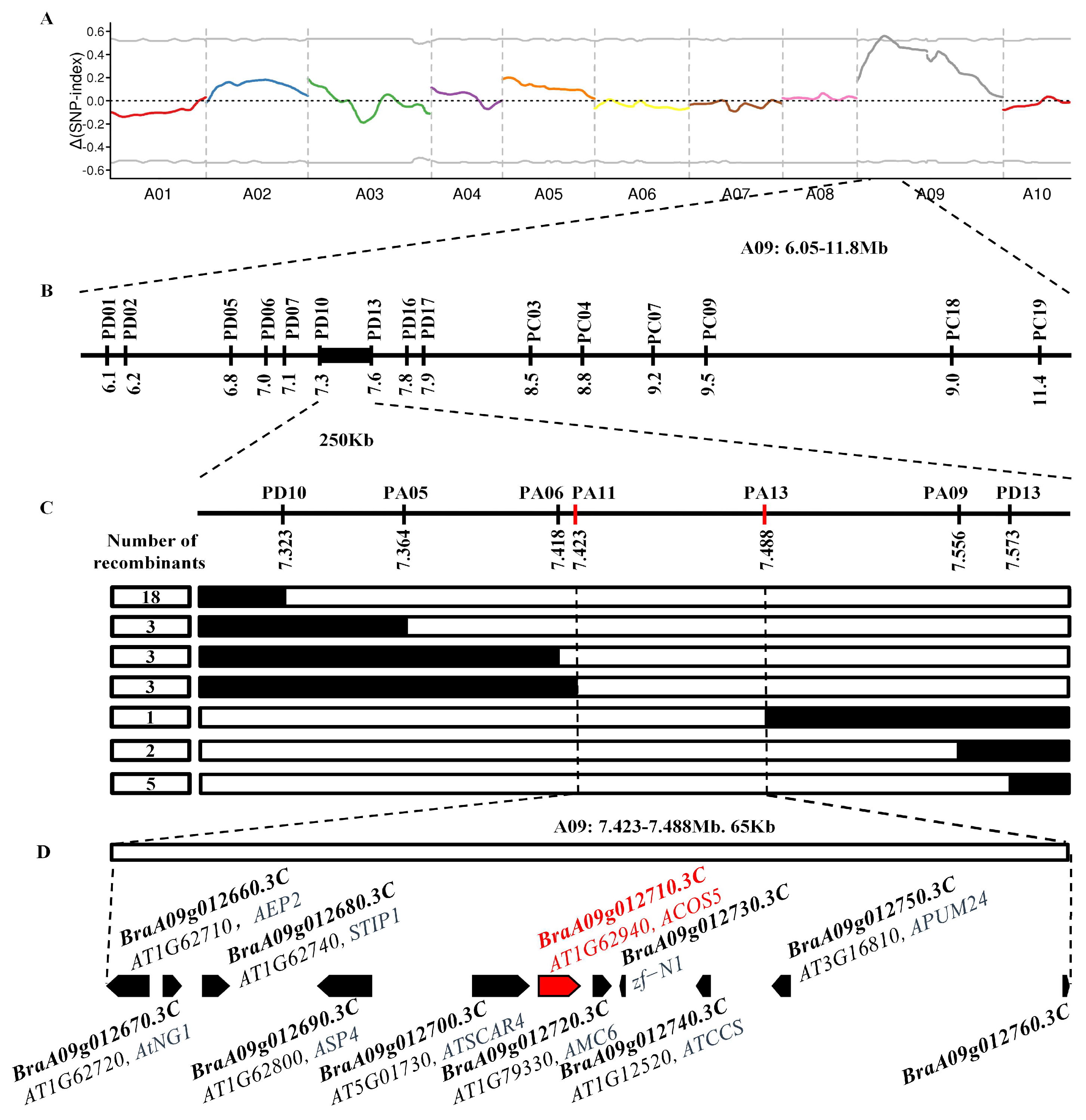 Plants 14 00779 g003