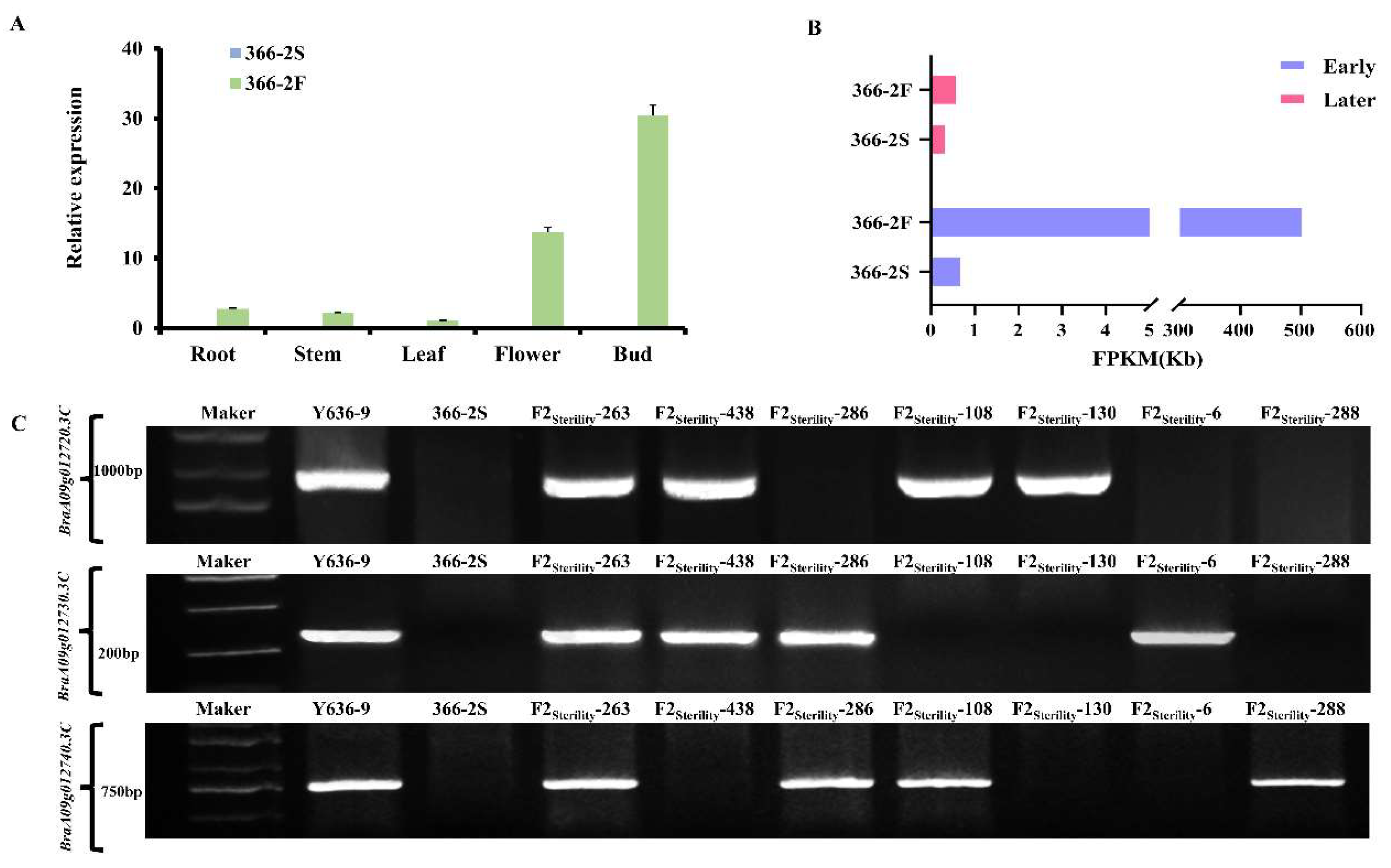 Plants 14 00779 g005