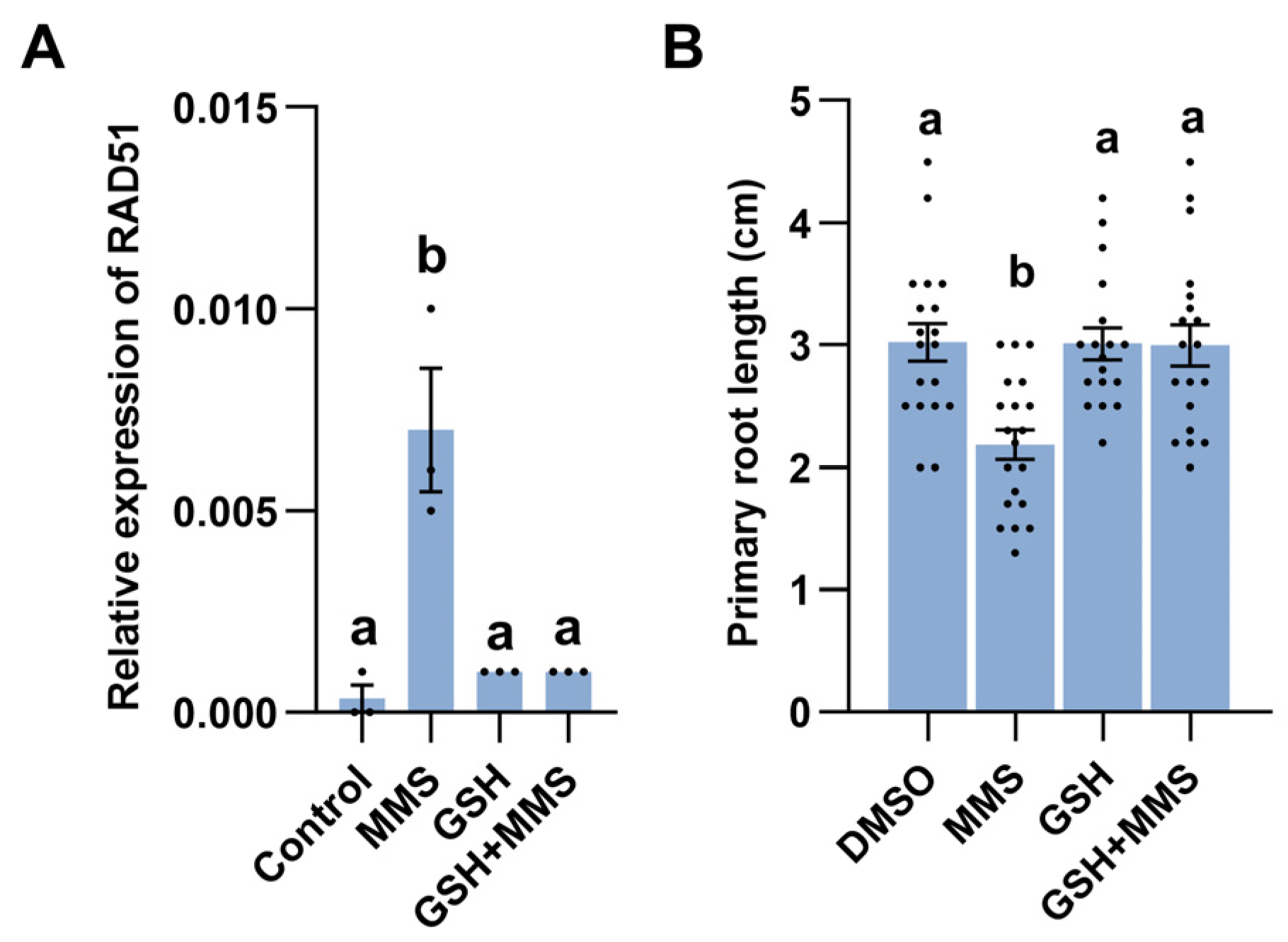 Plants 14 00780 g005