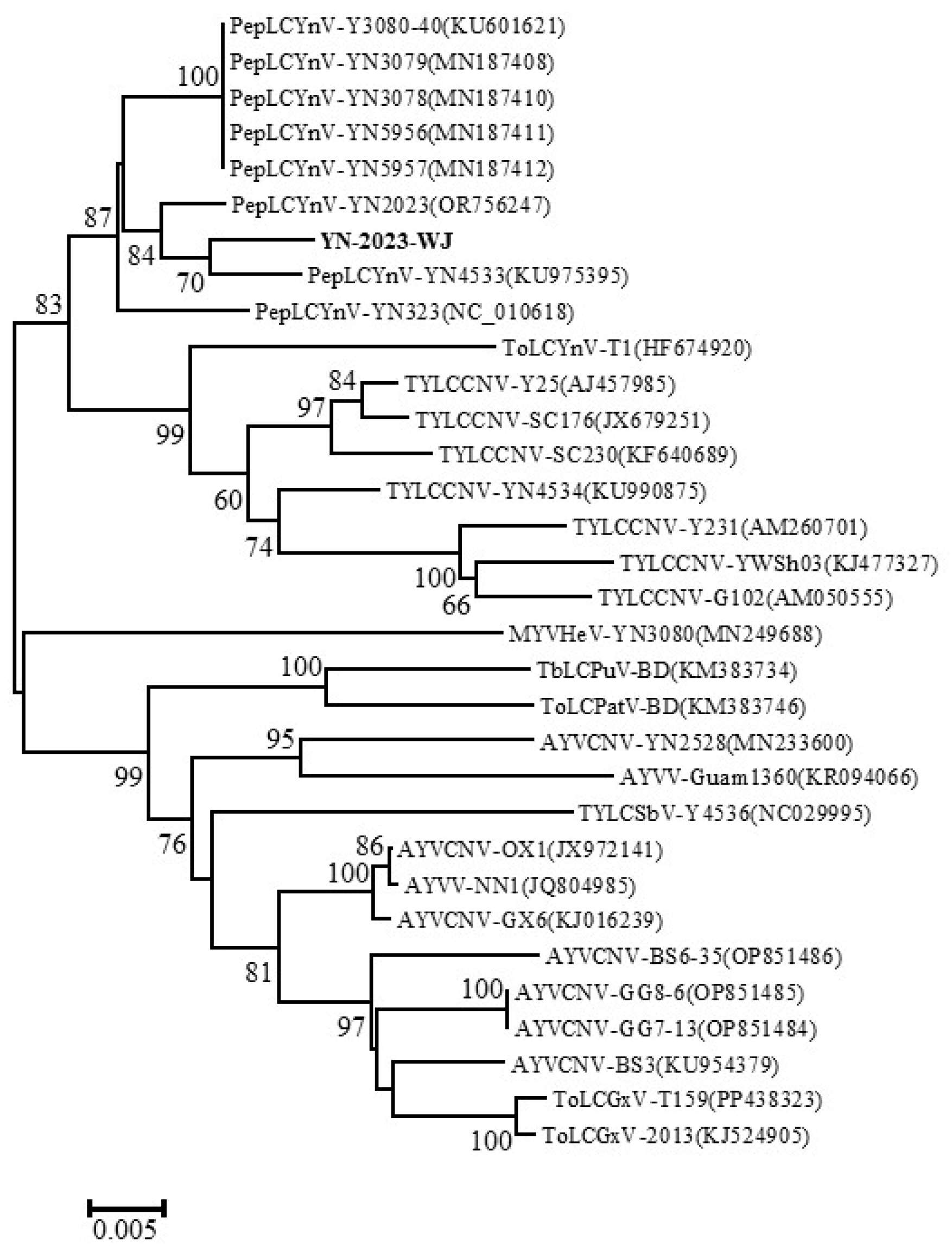 Plants 14 00782 g004 Plants 14 00782 g004