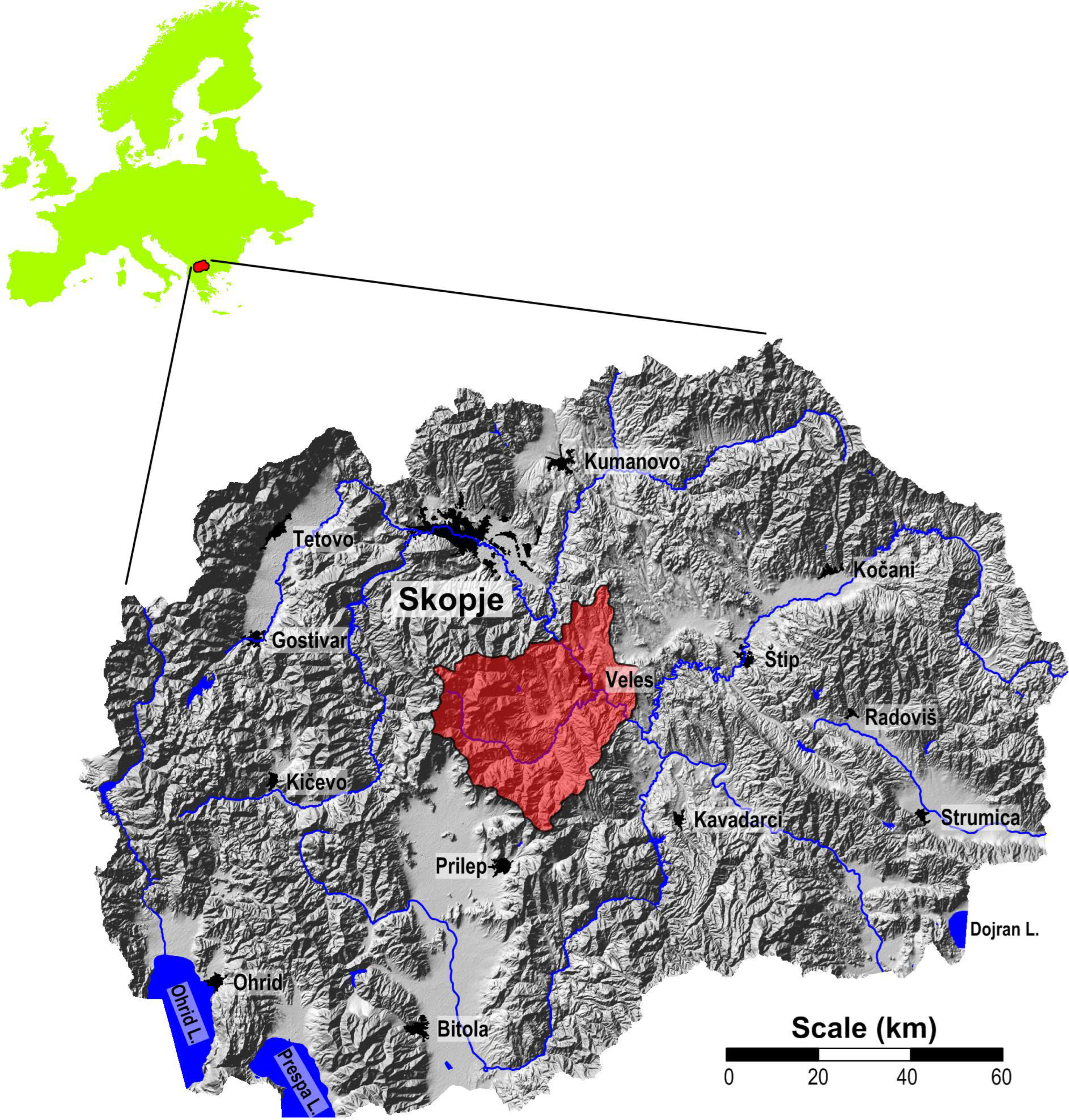 Plants 14 00783 g009