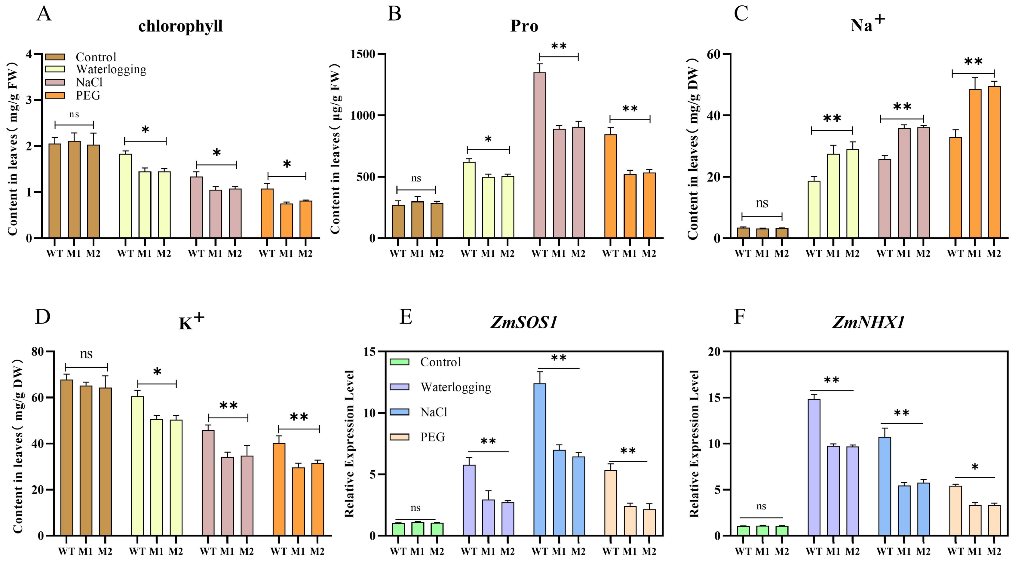 Plants 14 00785 g006