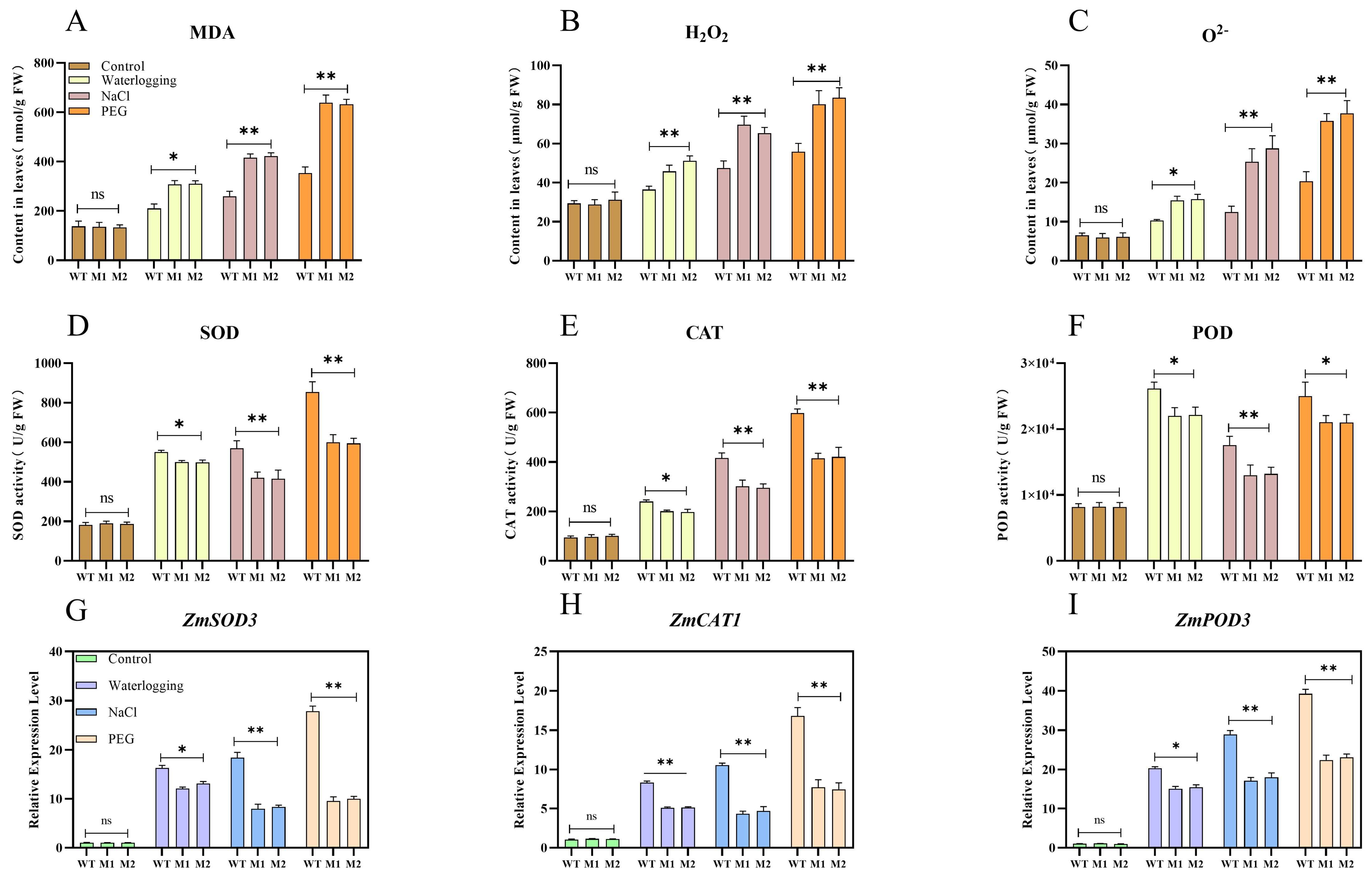 Plants 14 00785 g007