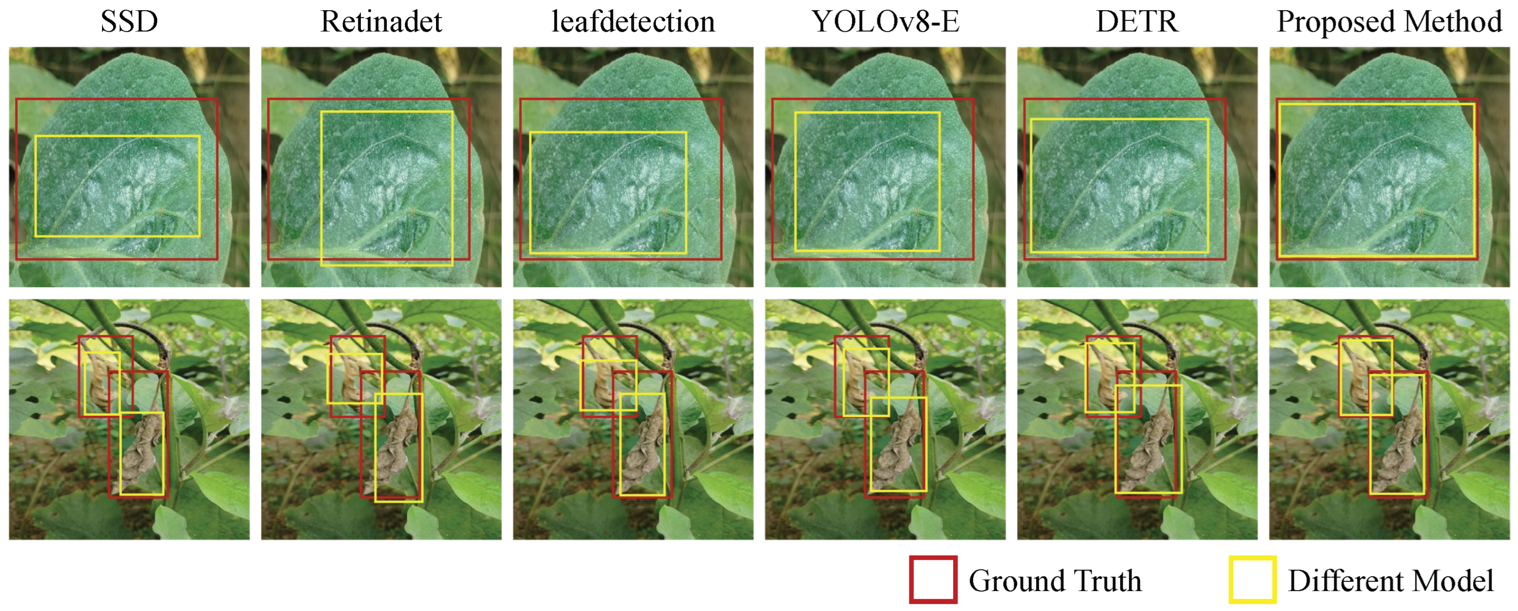 Plants 14 00786 g005