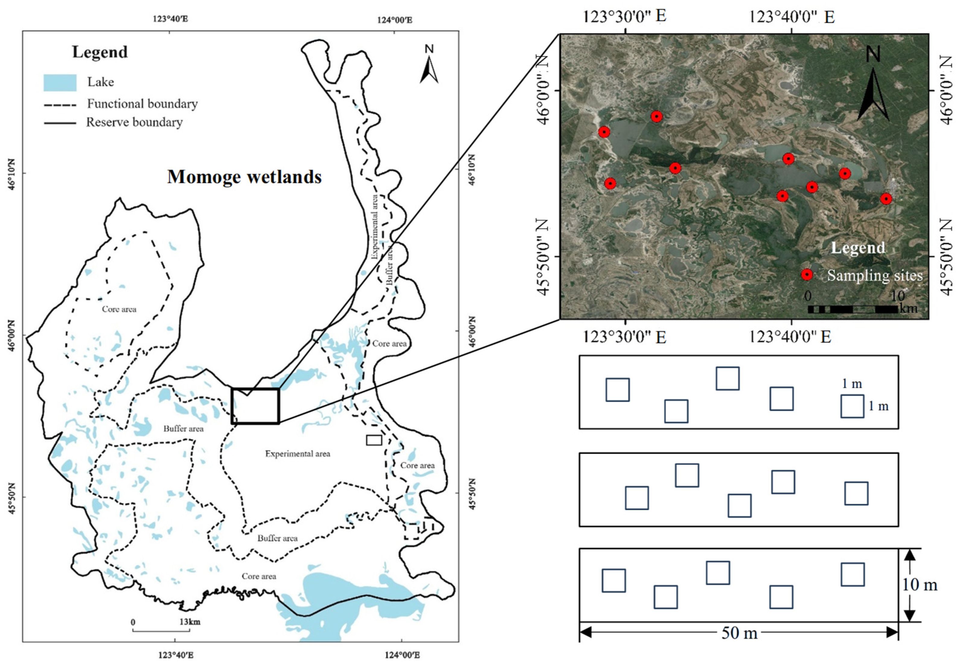 Plants 14 00787 g007