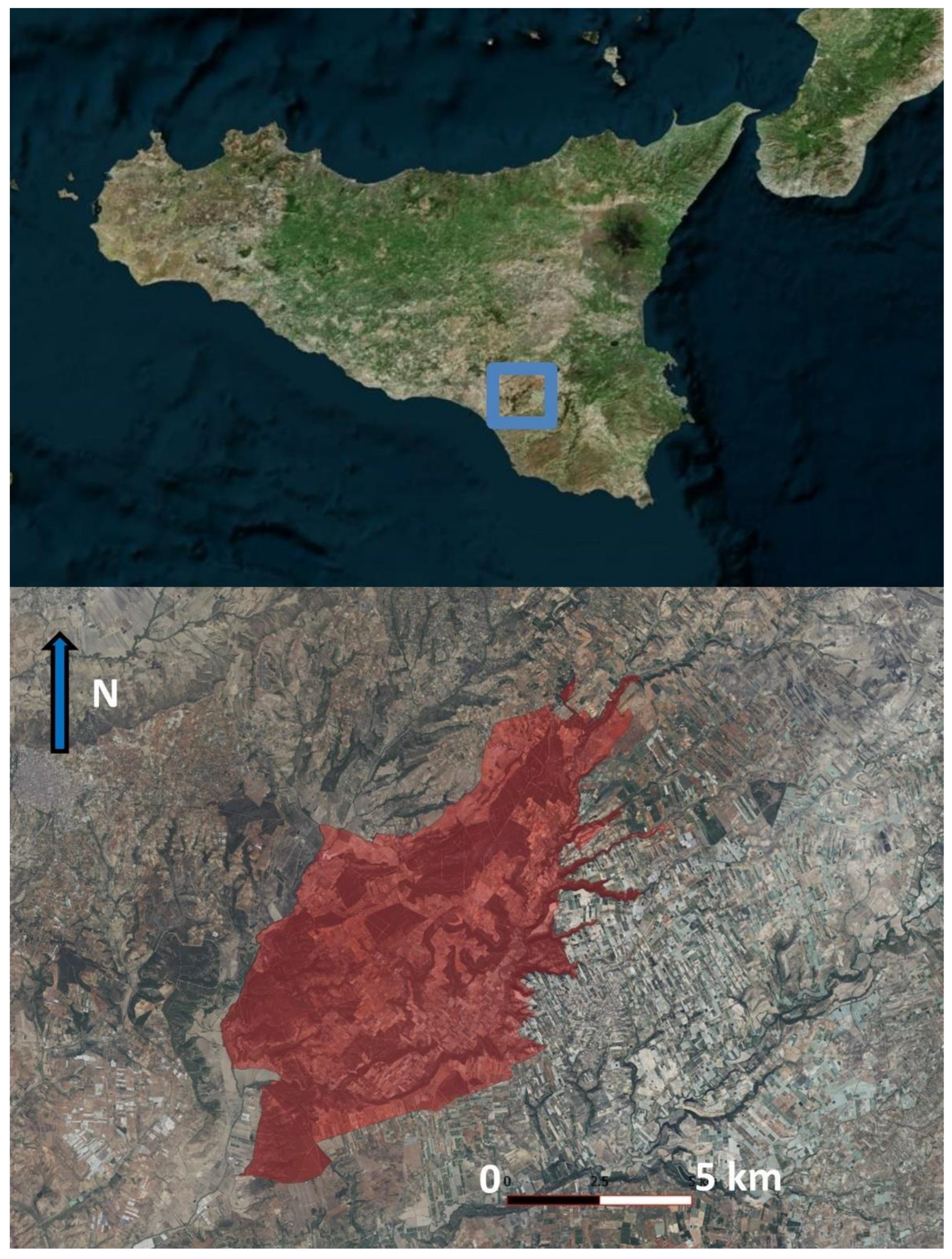 Plants 14 00788 g005