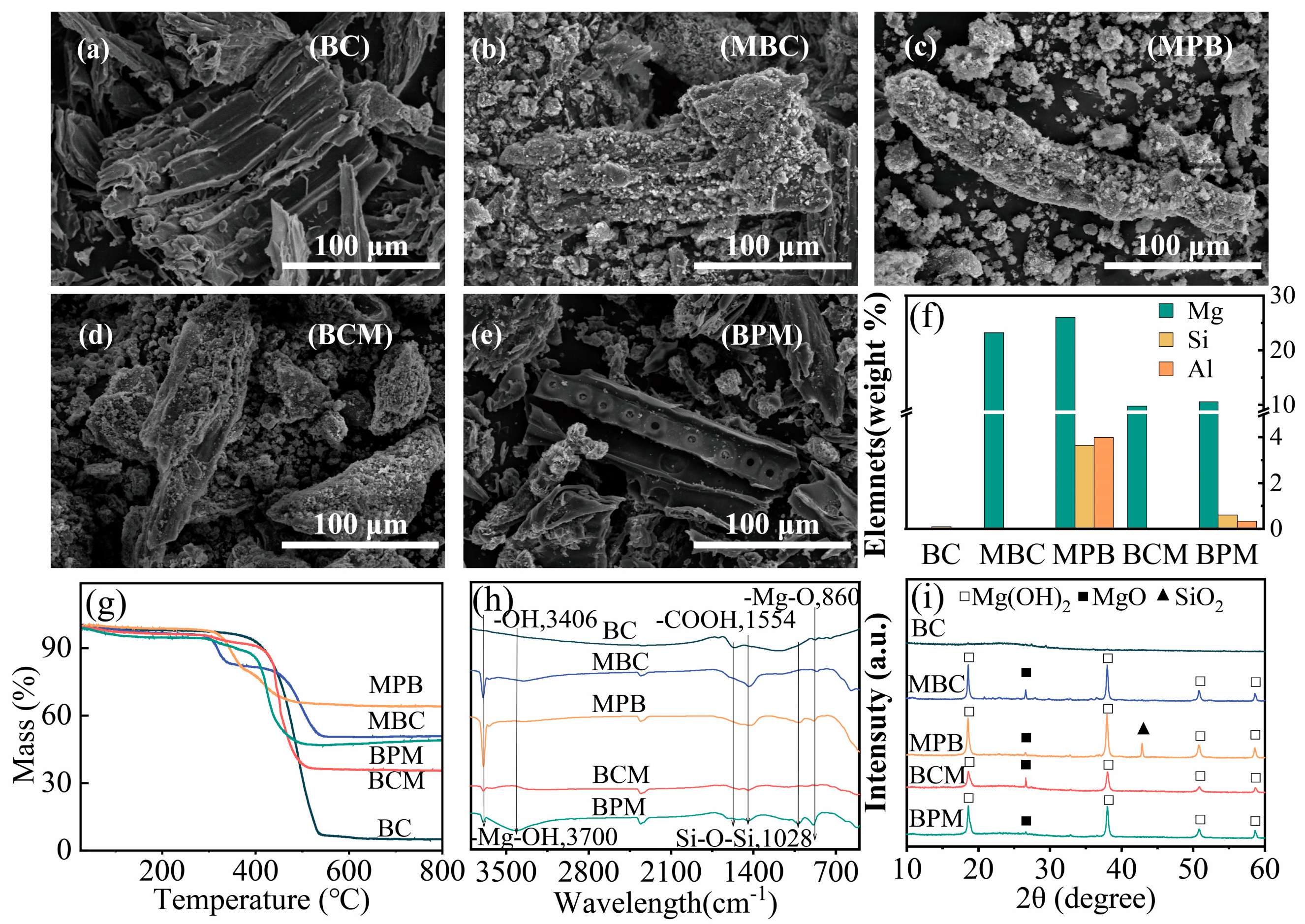 Plants 14 00790 g001