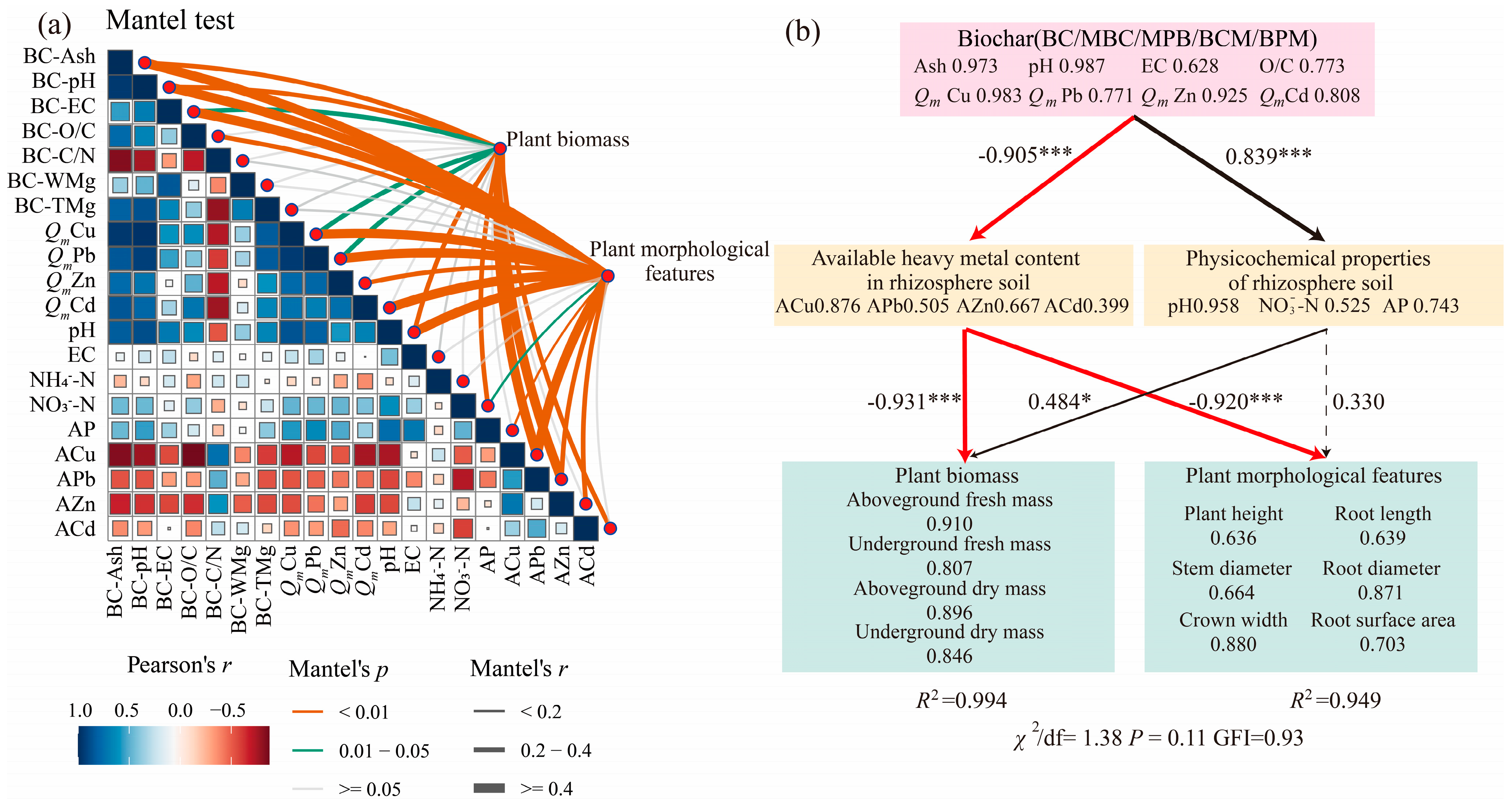 Plants 14 00790 g004