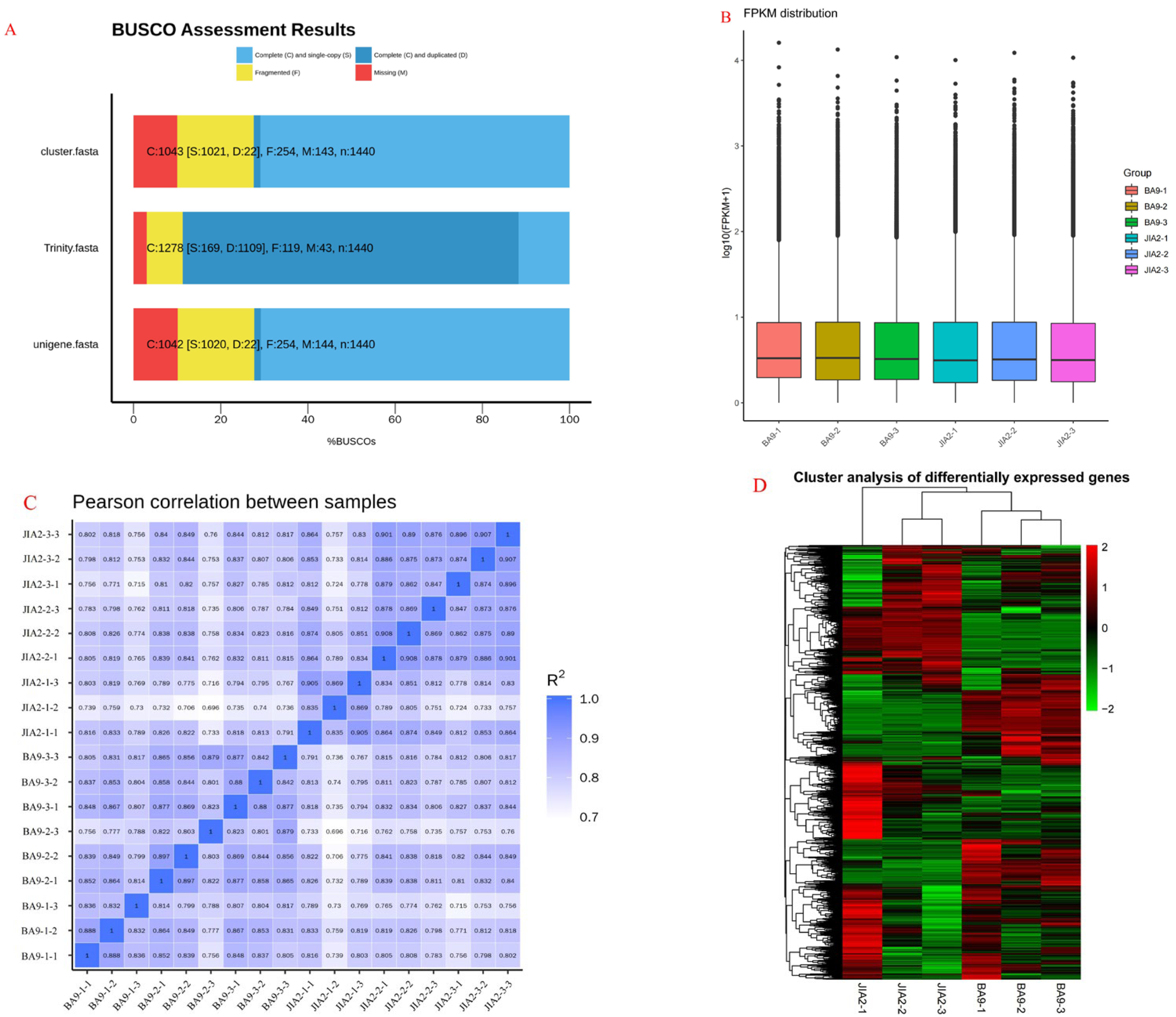 Plants 14 00792 g002