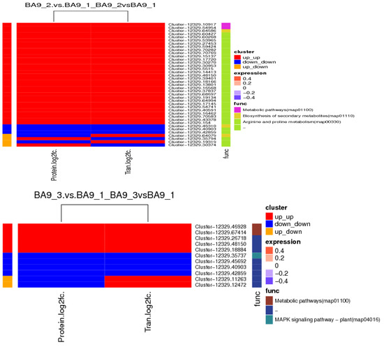 Utilizing Multi-Omics Analysis to Elucidate the Molecular