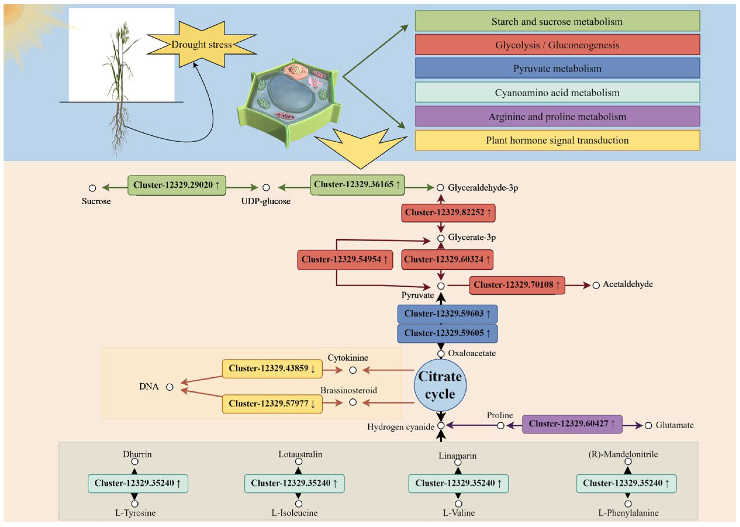Plants 14 00792 g018